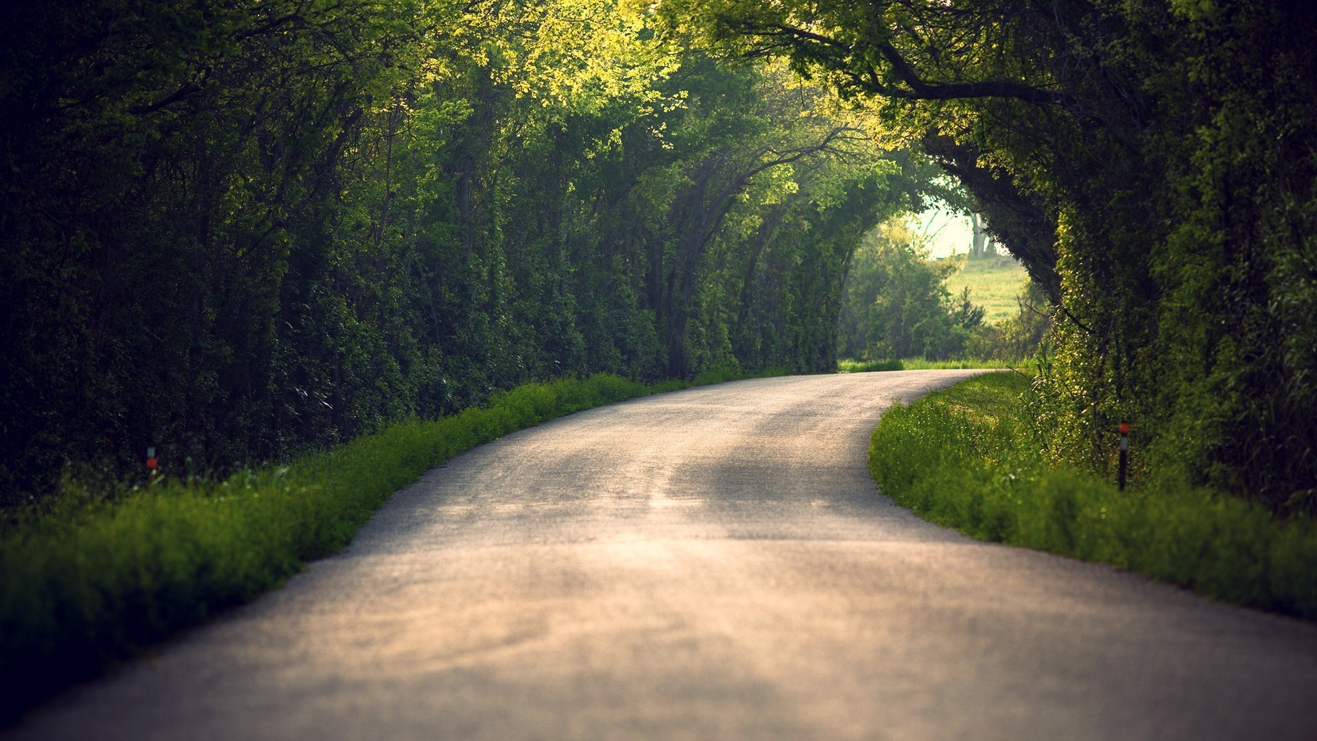1920x1080 path nature blurred tunnel trees road wallpaper JPG 552 kB Gallery HD Wallpaper