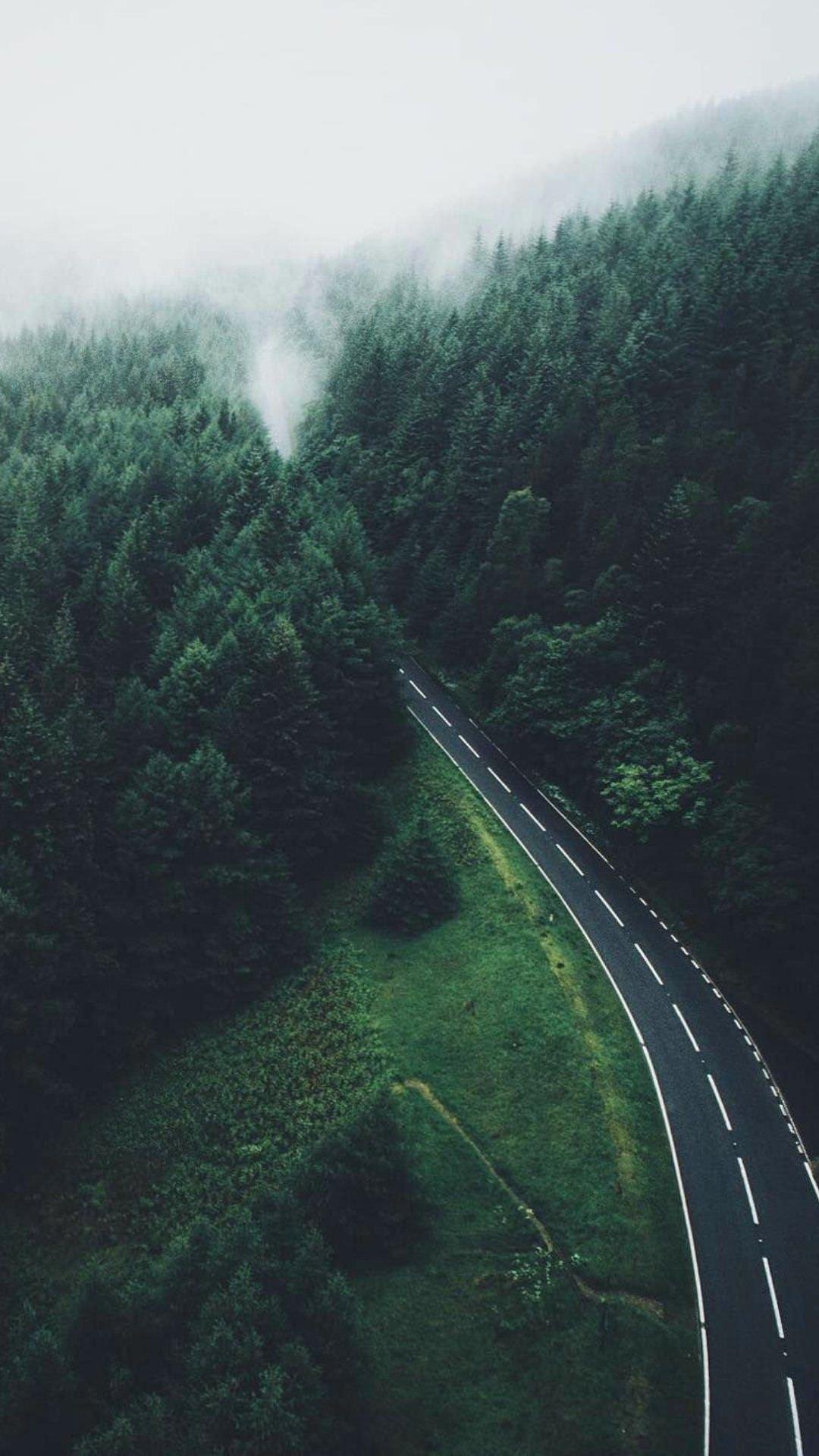 Nature Road Green Forest IPhone Wallpaper Wallpaper, iPhone Wallpaper