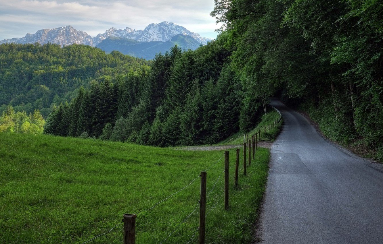 Wallpaper road, greens, field, forest, grass, trees, mountains, nature, green, forest, Nature, road, trees, landscape, mountain, scenery image for desktop, section пейзажи