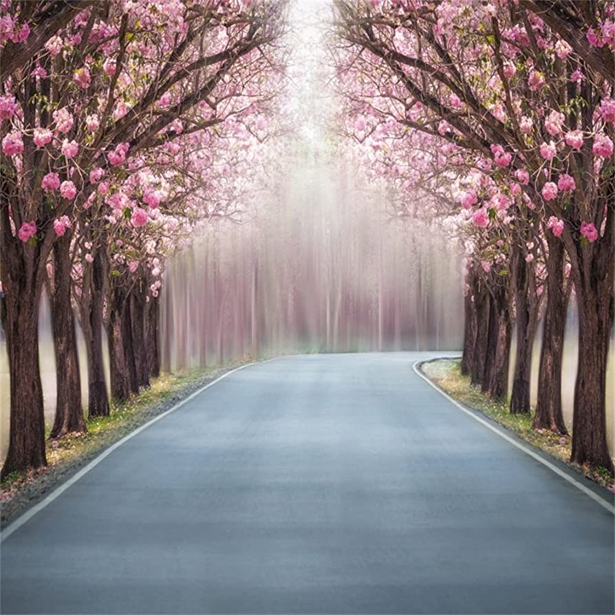 Amazon.com, Leowefowa Vinyl 10X10FT Spring Backdrop Cherry Blossom Flowers Forest Trees Highway Nature Outdoor Romantic Scene Valentine's Day Photography Background Girls Lover Wedding Party Photo Studio Props