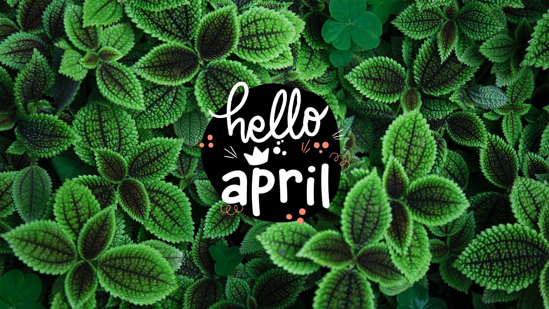 Hello April Wallpaper Aesthetic April Wallpaper For Phone & Desktop