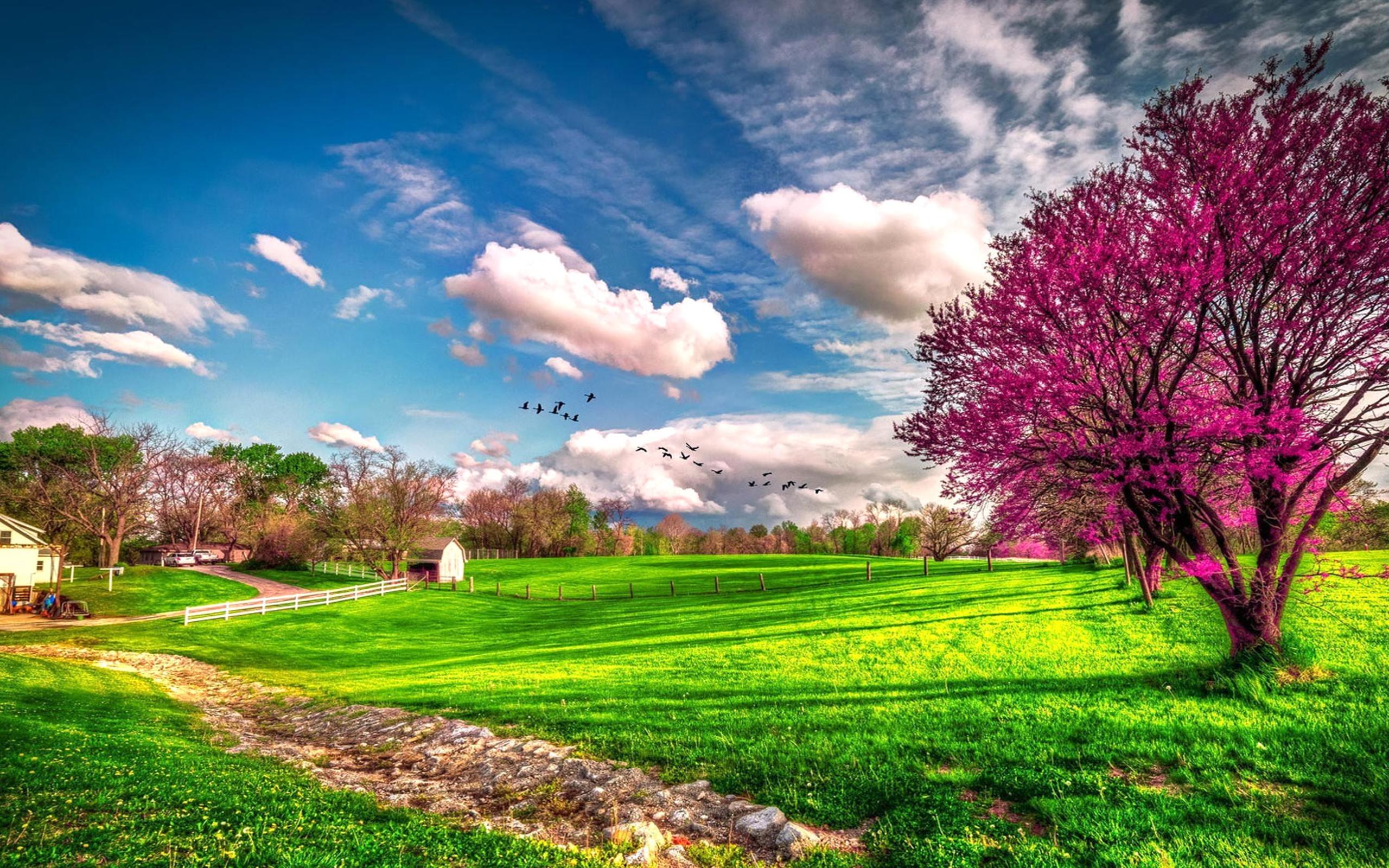 Landscape beautiful spring nature