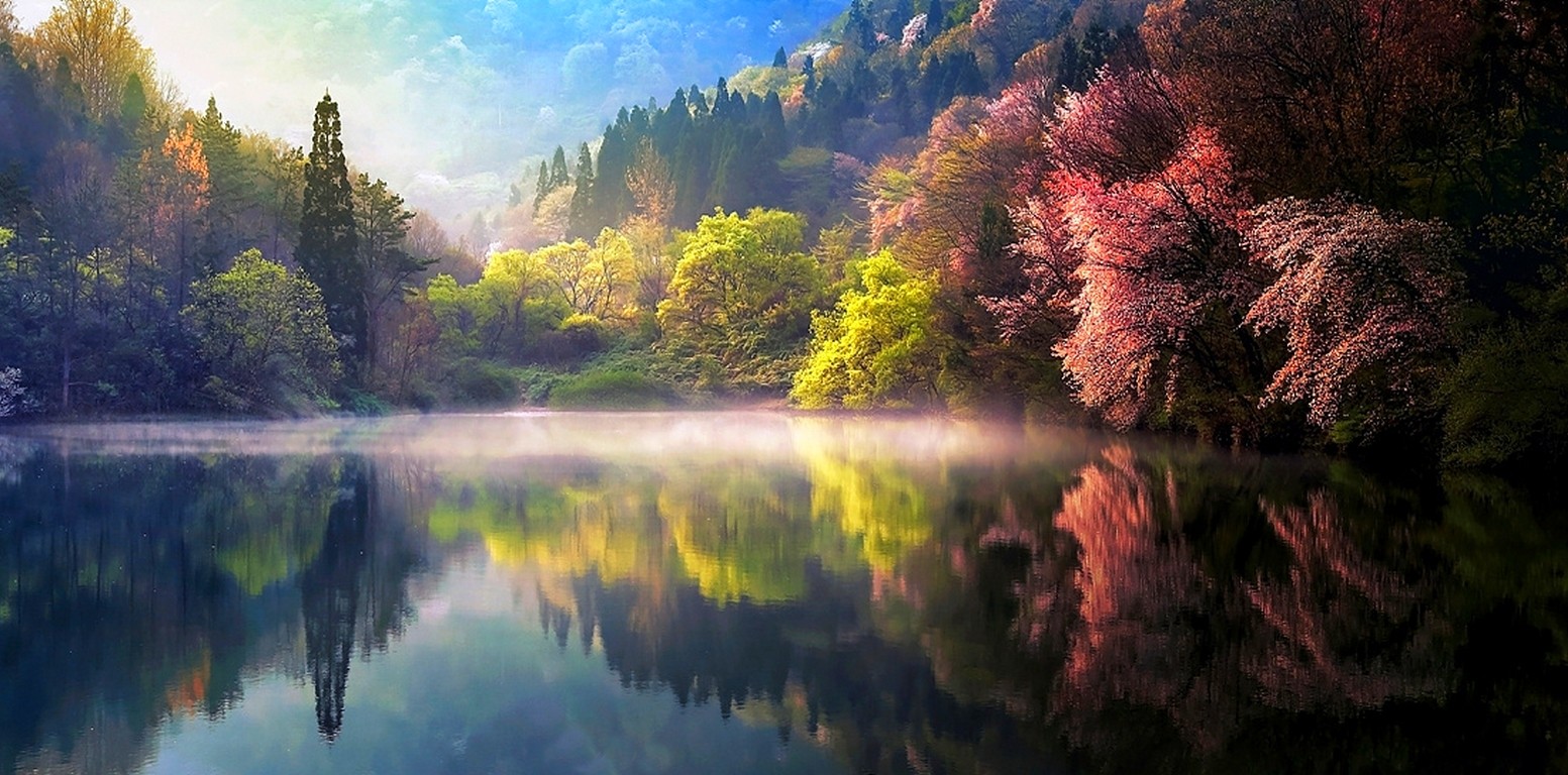 colorful, landscape, reflection, forest, South Korea, nature, lake, water, mist, hills, trees, spring Gallery HD Wallpaper