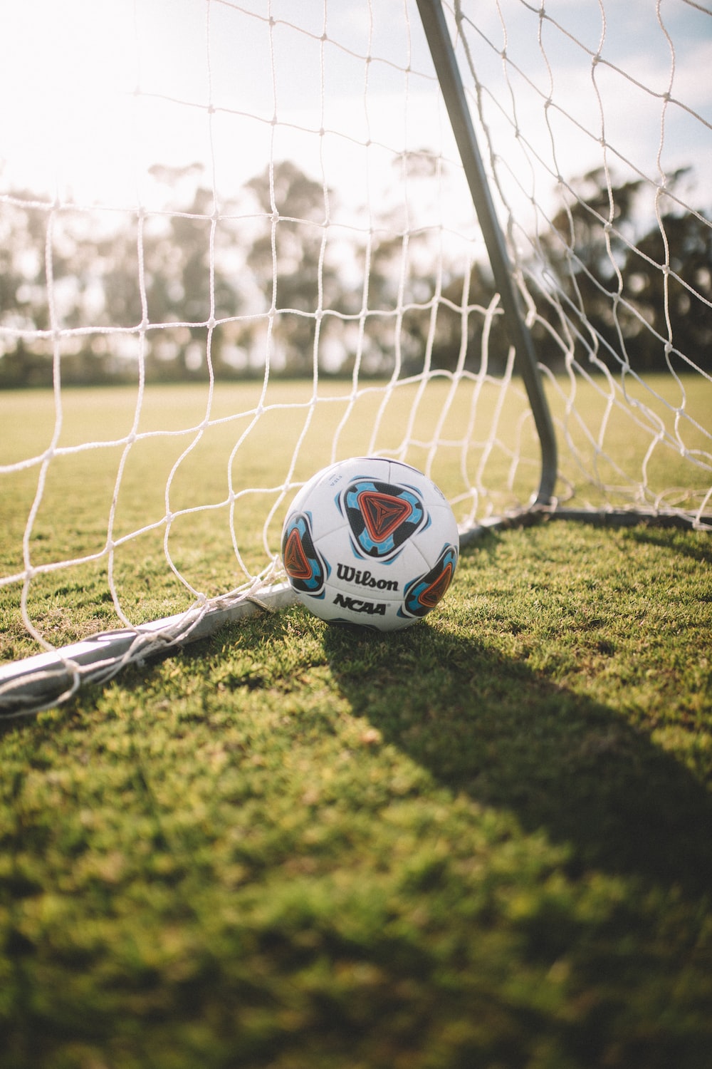 white Wilson soccer ball beside net goal photo
