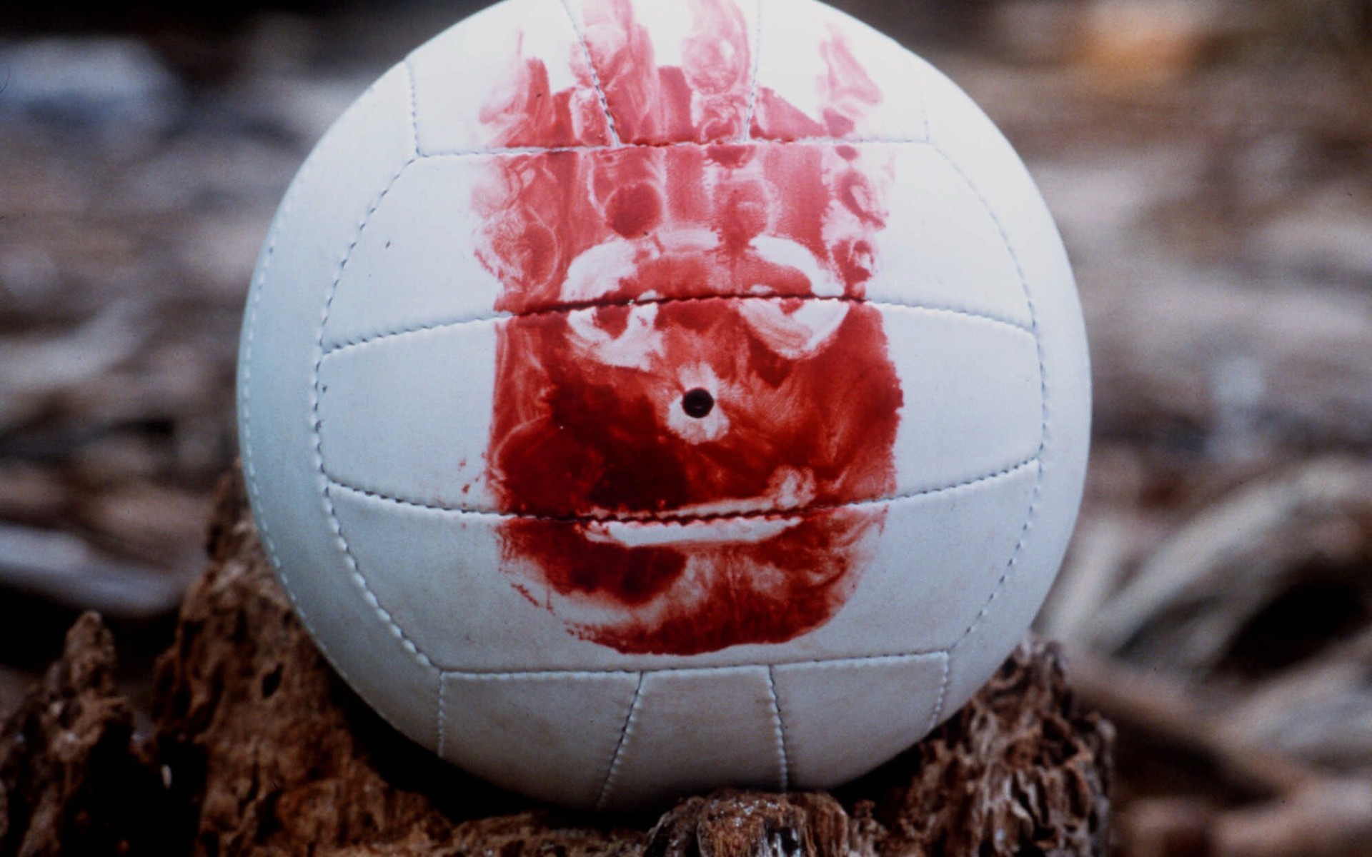 movies, Blood, Volleyball, Wilson, Cast, Away, Handprint Wallpaper HD / Desktop and Mobile Background