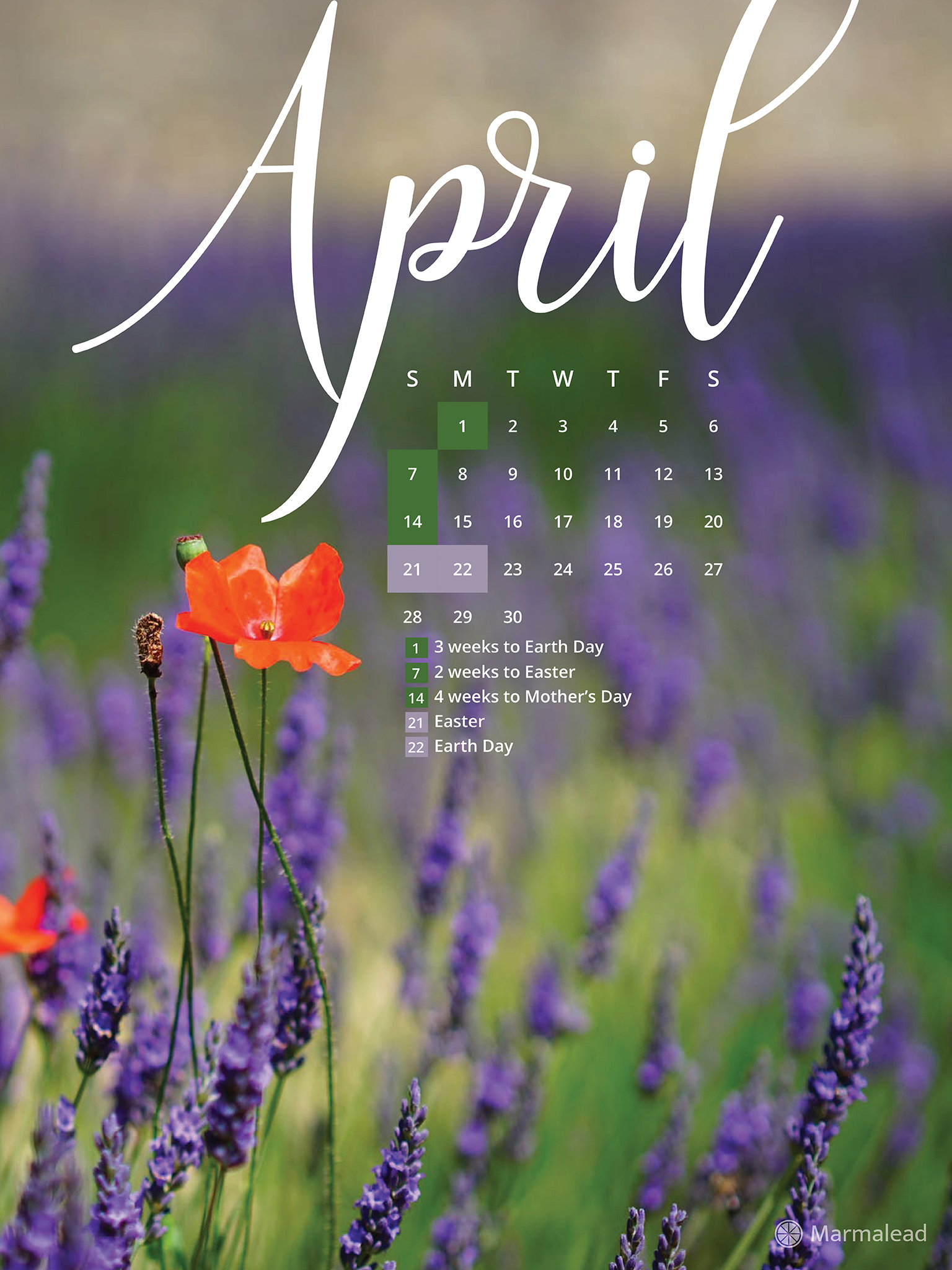 April 2019 Free Desktop Calendar Wallpaper From Marmalead