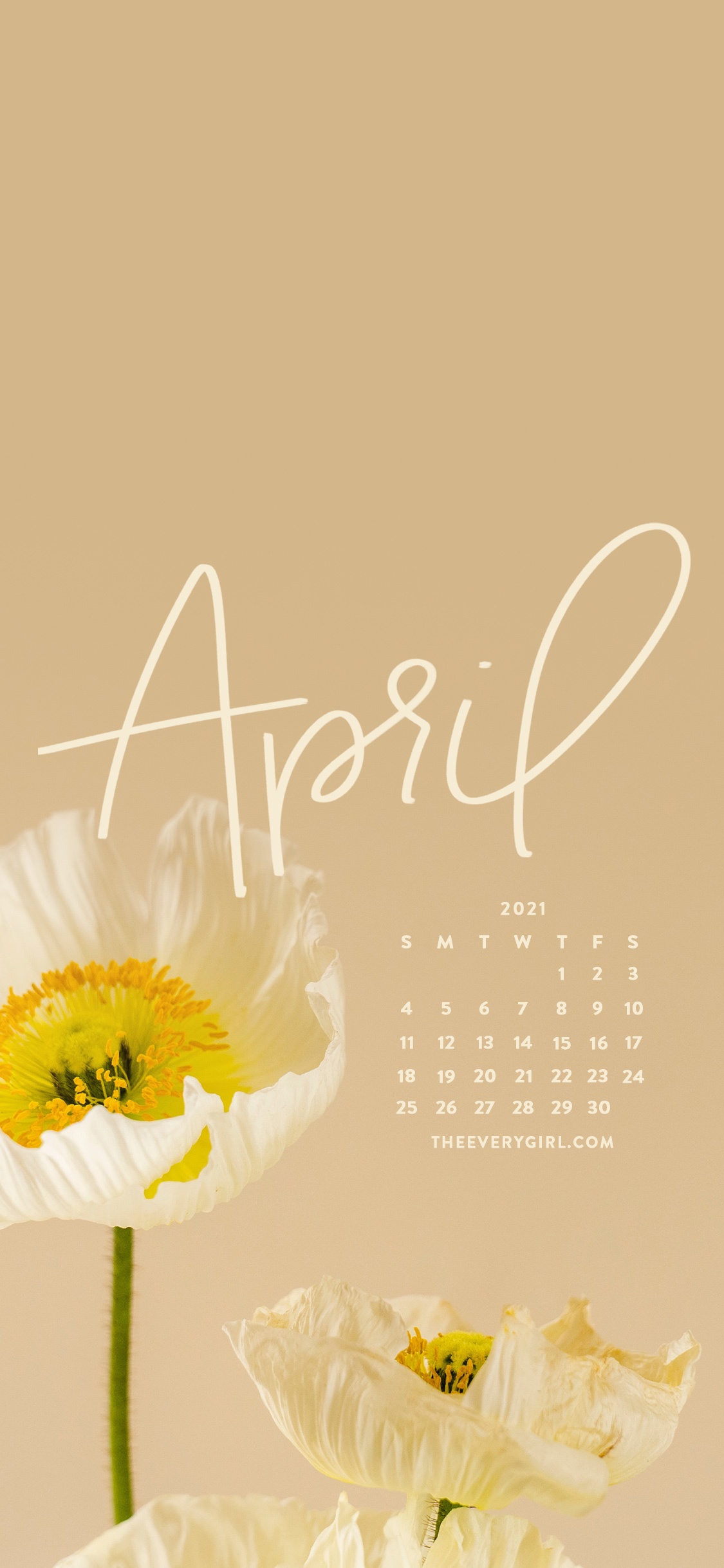 Free, Downloadable Tech Background for April 2021!
