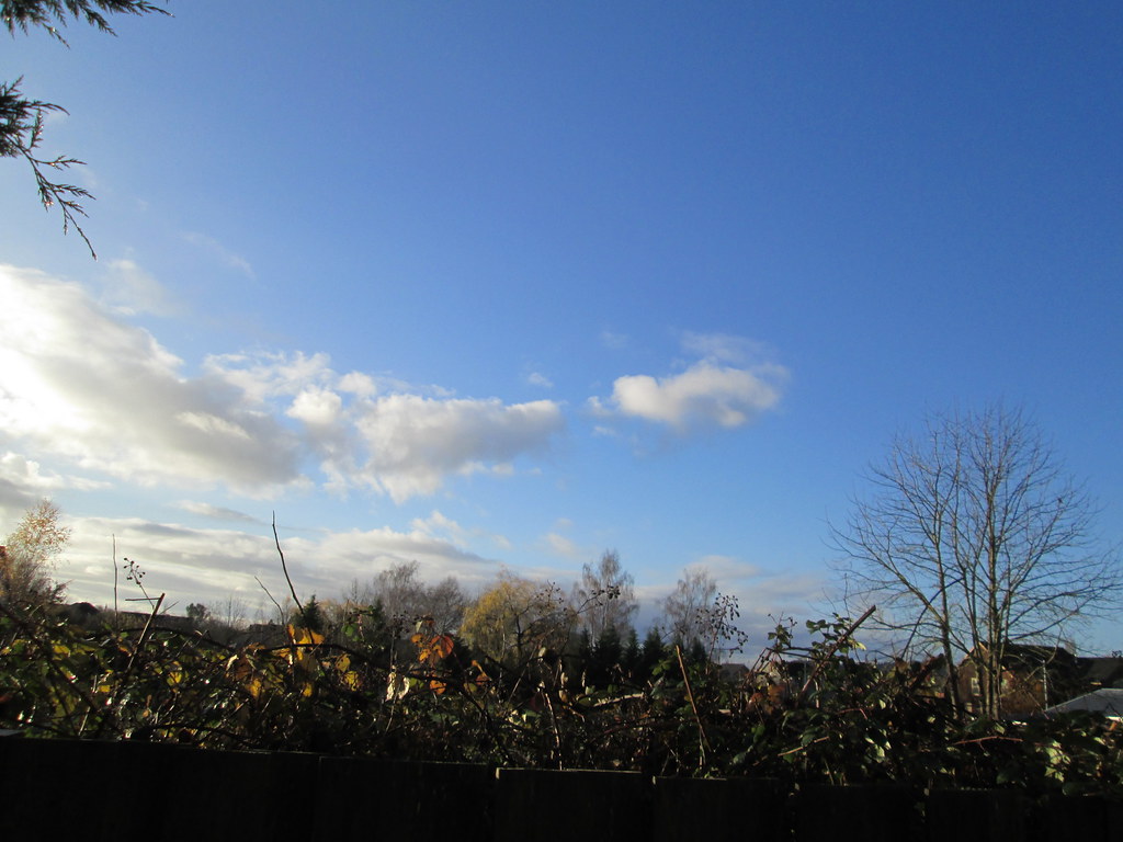 Beautiful Morning Sky on a rainy day 12.2.12