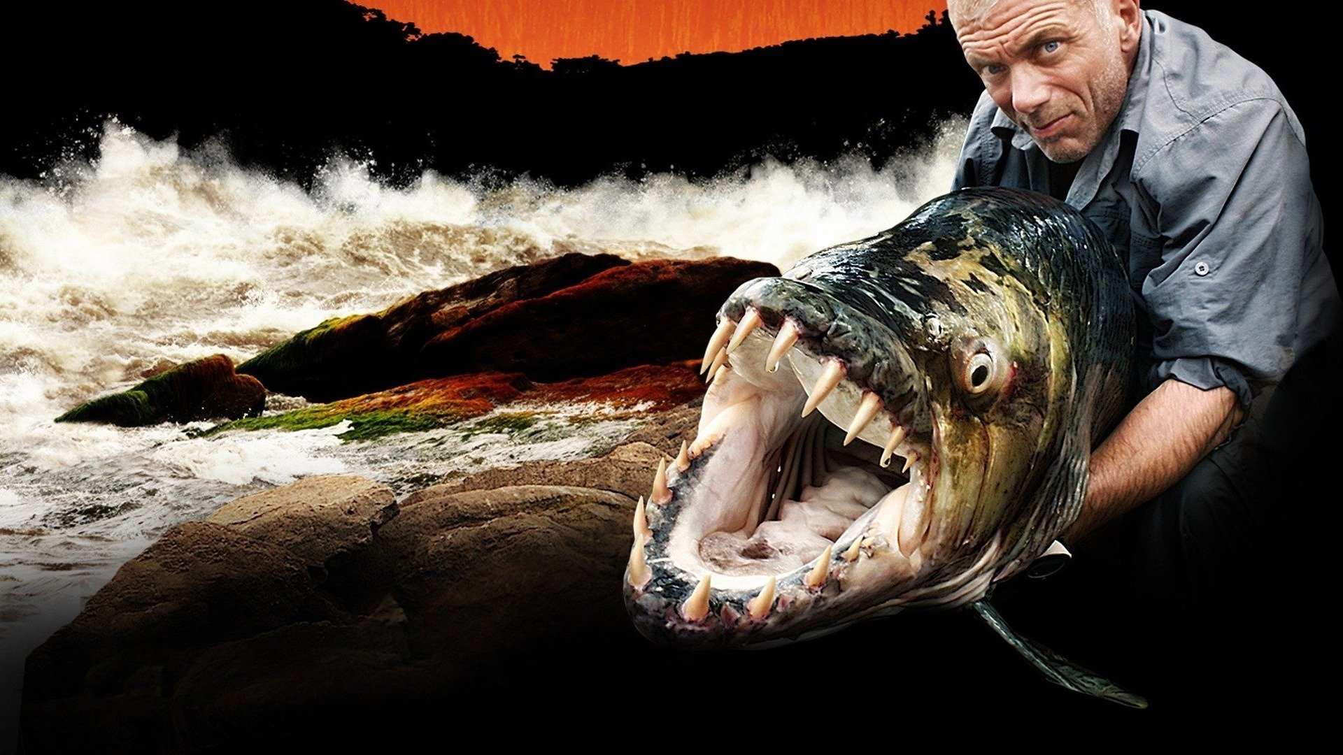 Jeremy Wade Wallpapers Wallpaper Cave