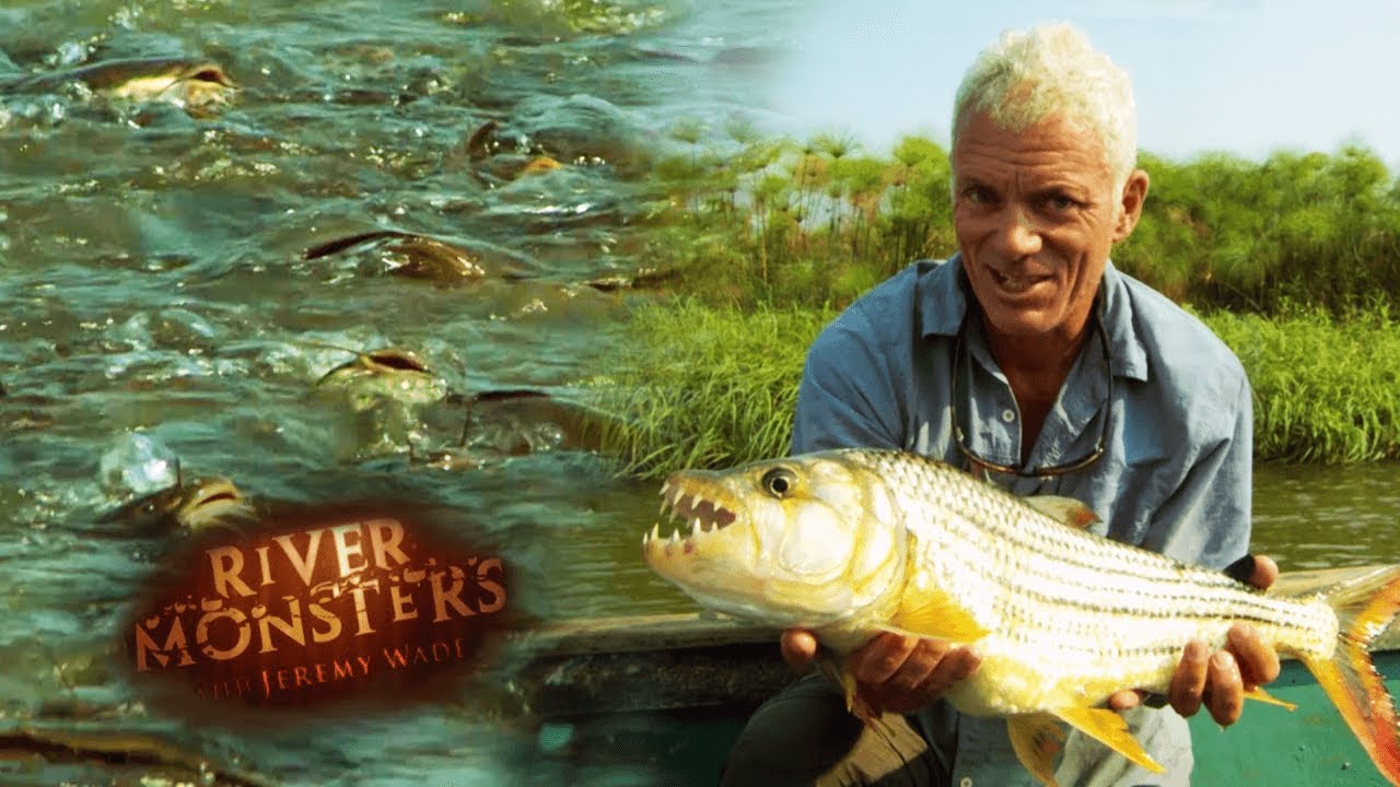 Jeremy Wade New Show 2025