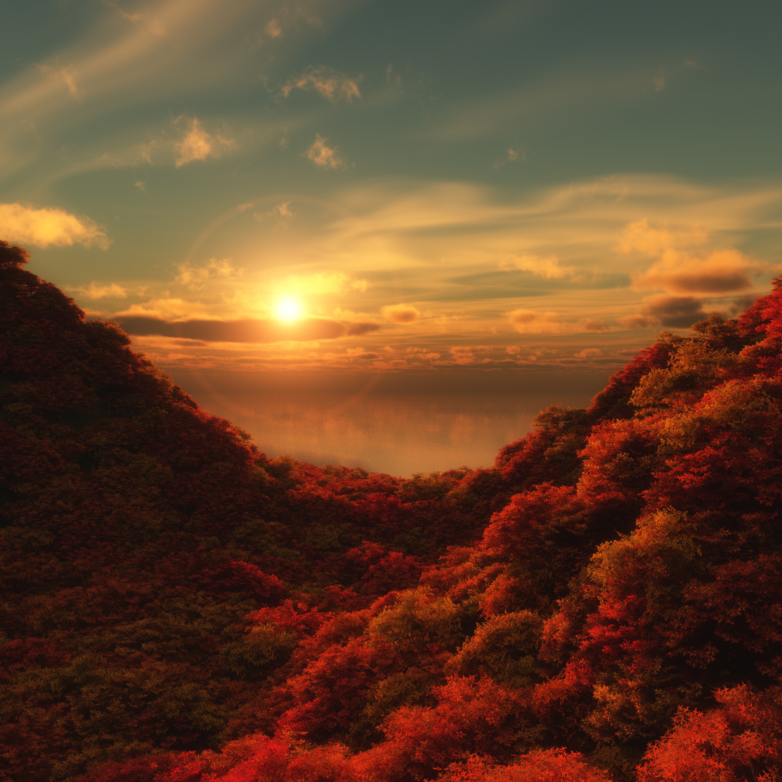 Red Trees Wallpaper 4K, Sunrise, Cloudy Sky, Forest