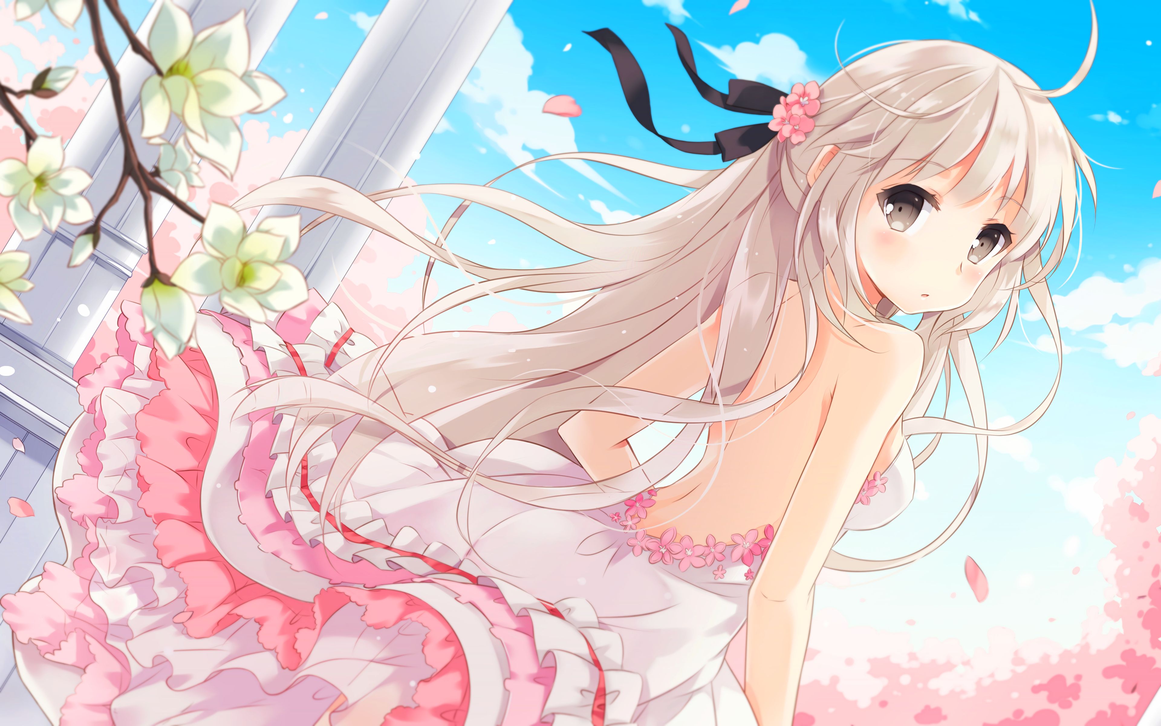 HD desktop wallpaper: Anime, Flower, Spring, Dress, Cherry Blossom, Yosuga No Sora, Sora Kasugano, White Dress download free picture