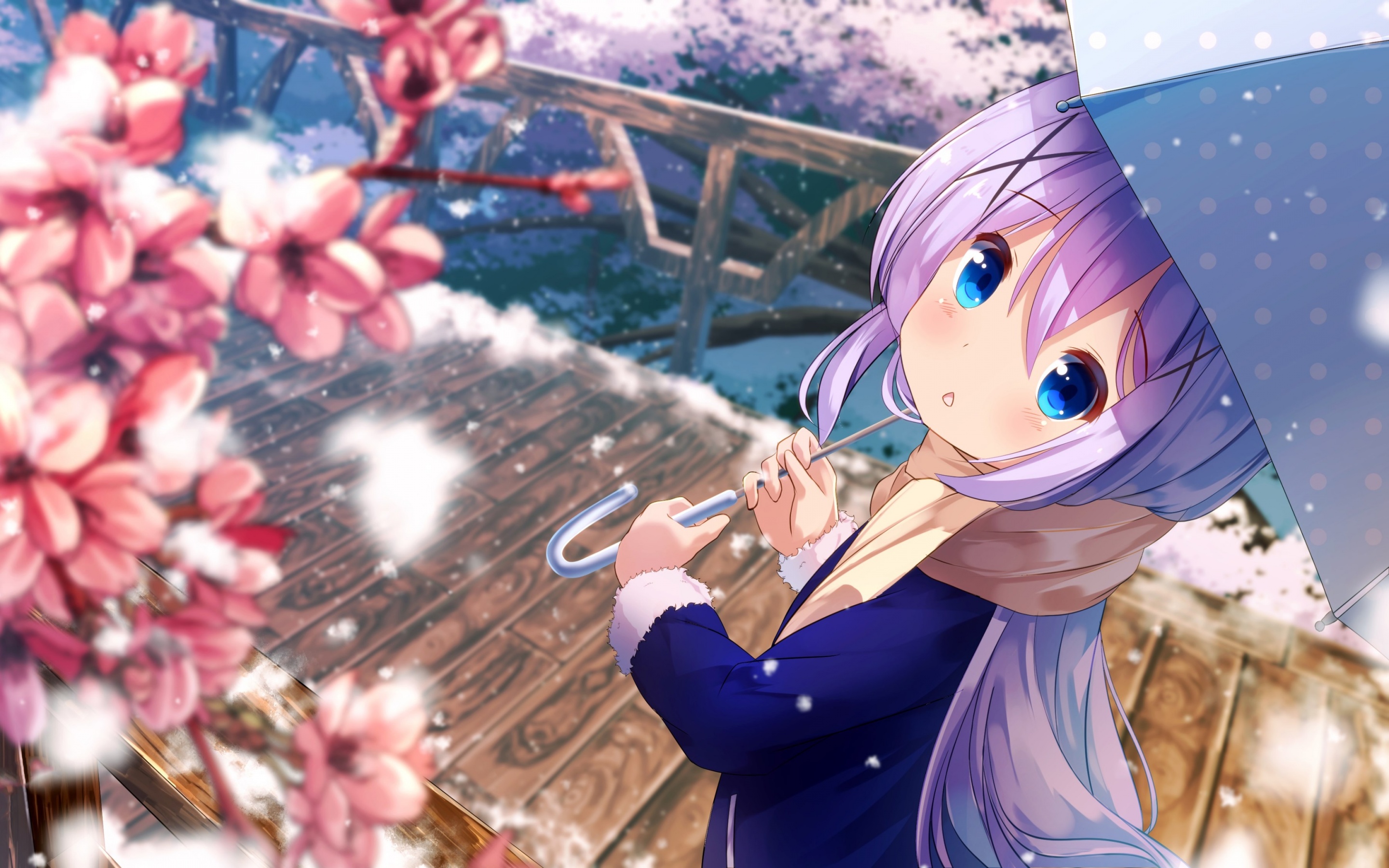 Chino Kafuu Wallpaper 4K, Anime girl, Cute, Anime