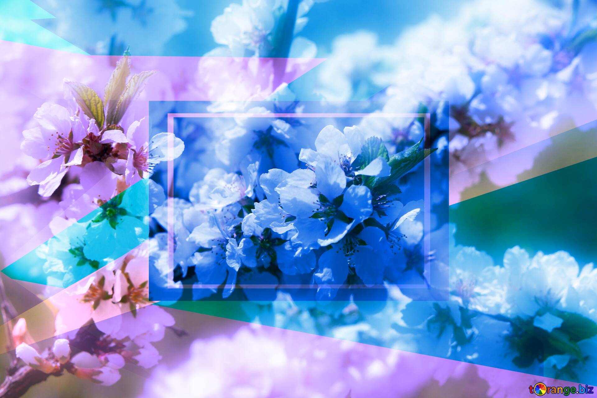 Spring Geometric Wallpapers - Wallpaper Cave