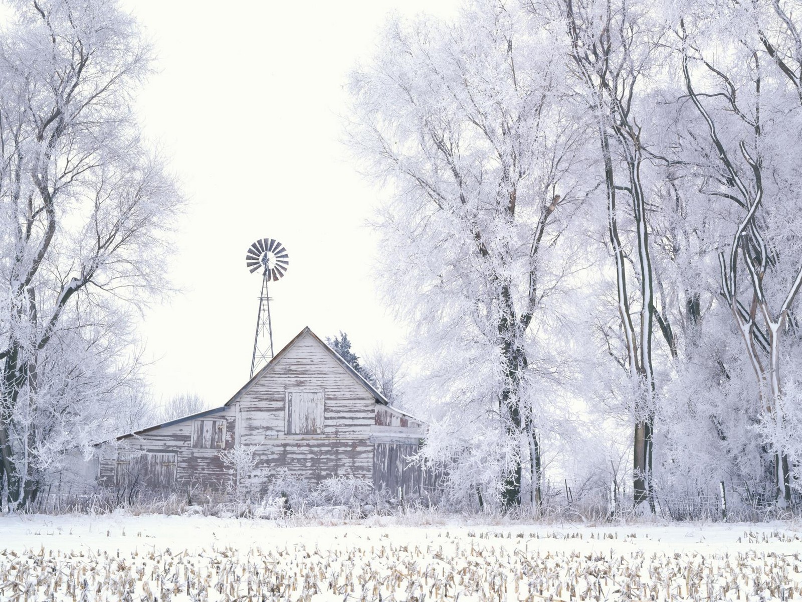 Frosted Farmland wallpaper. Frosted Farmland