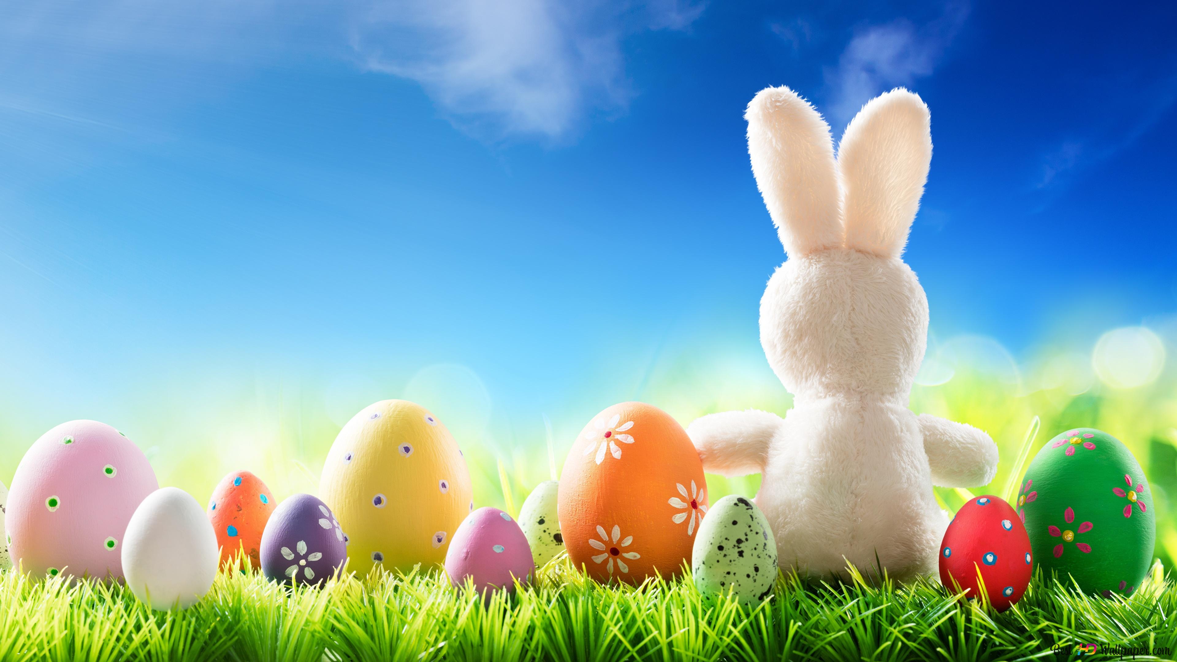 Cute Easter Bunny with Colorful Eggs 4K wallpaper download