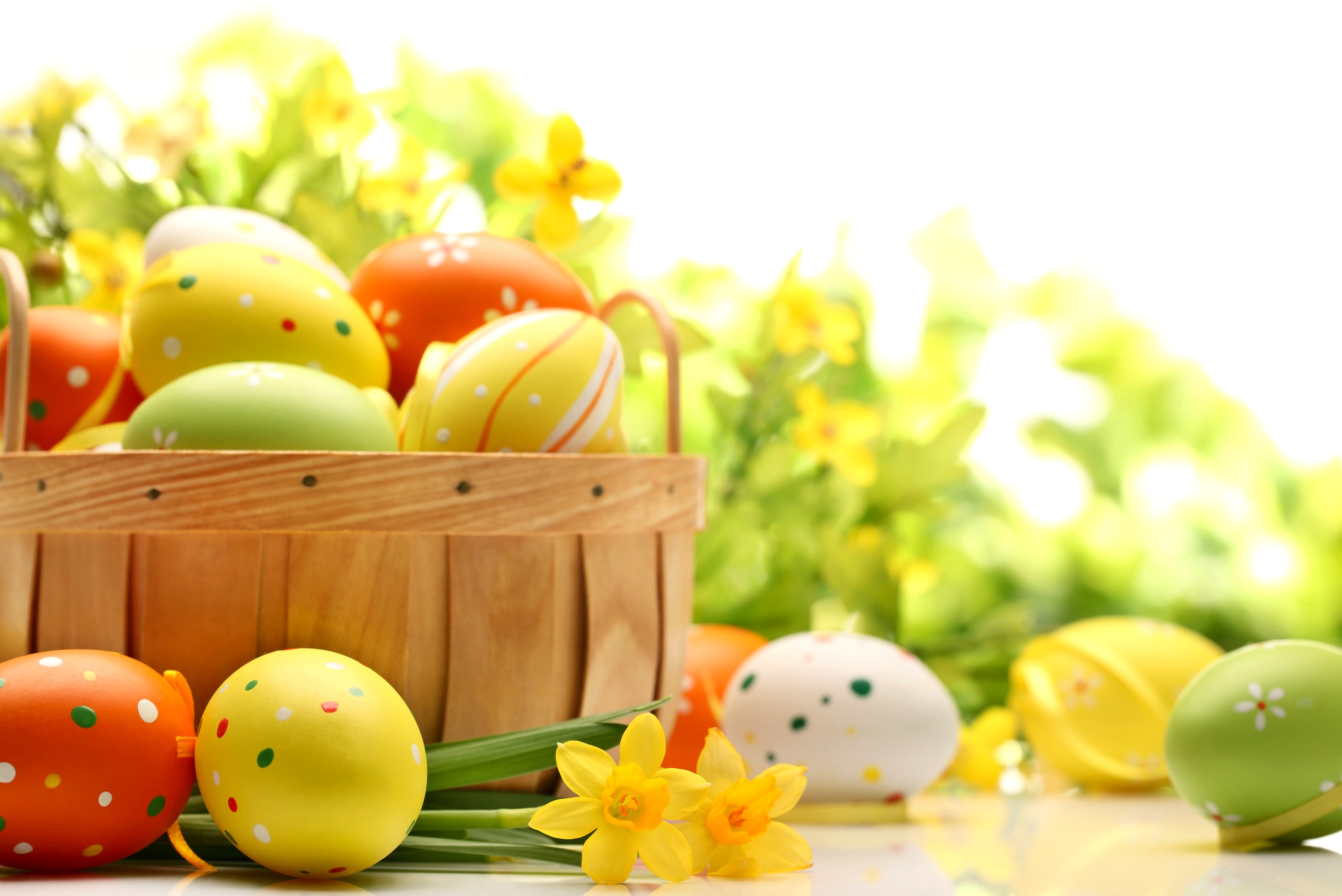 Wallpaper Easter Bunny, Easter Egg, Yellow, Food, Easter, Background Free Image