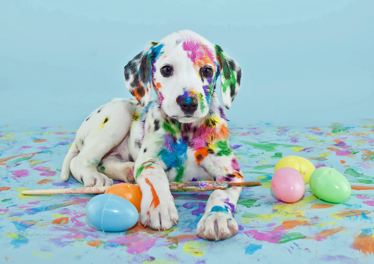 Cute Easter Dog Wallpaper