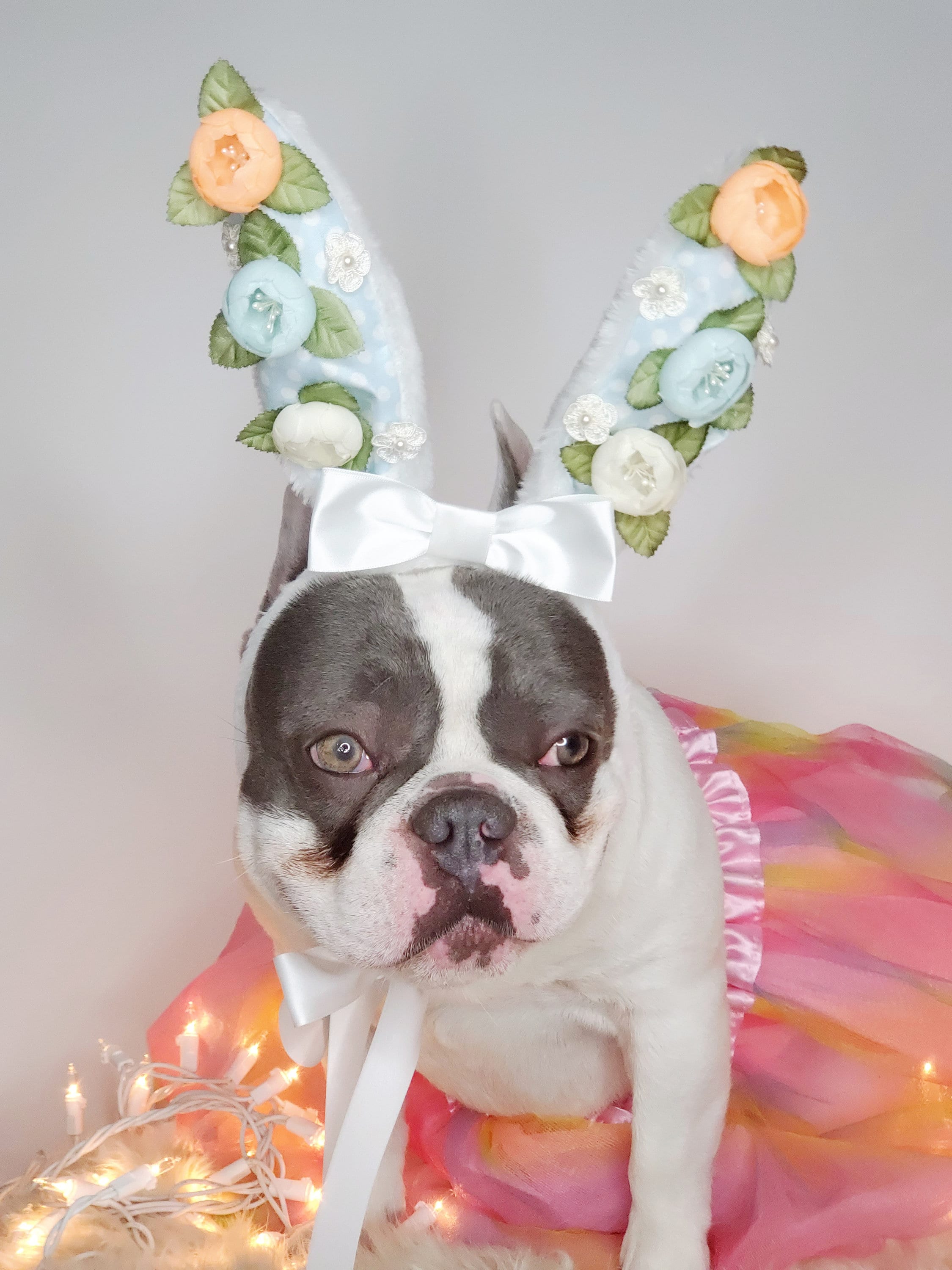 Easter Bunny Hat for Dog or Cat /bunny Dog Hat / Bunny Dogs