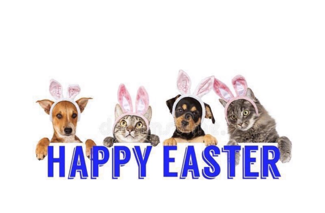 Paws Pet Travel Cyprus Easter to everyone who is celebrating Easter this weekend Stay home Stay safe