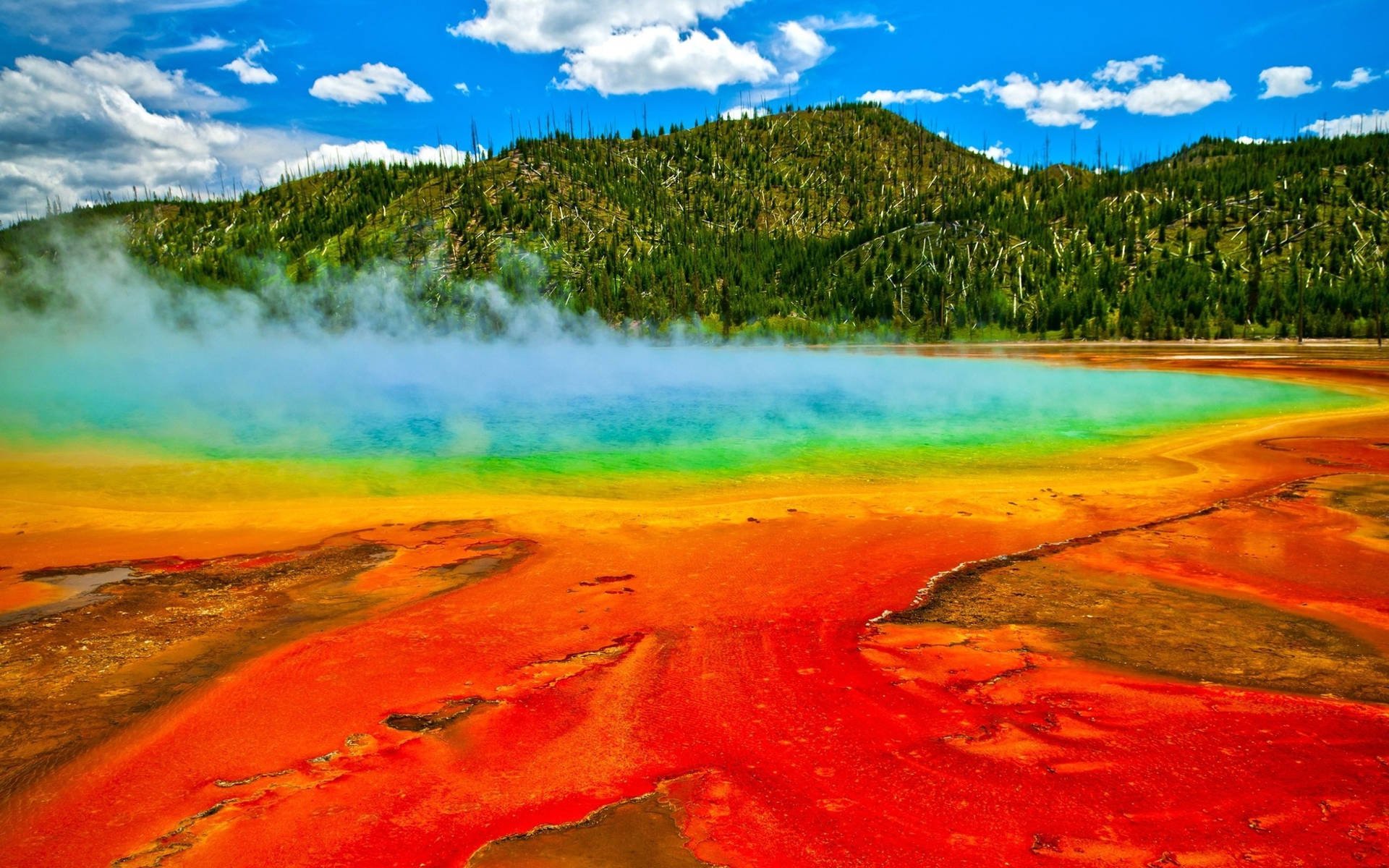 Download Yellowstone National Park Colorful Spring Wallpaper