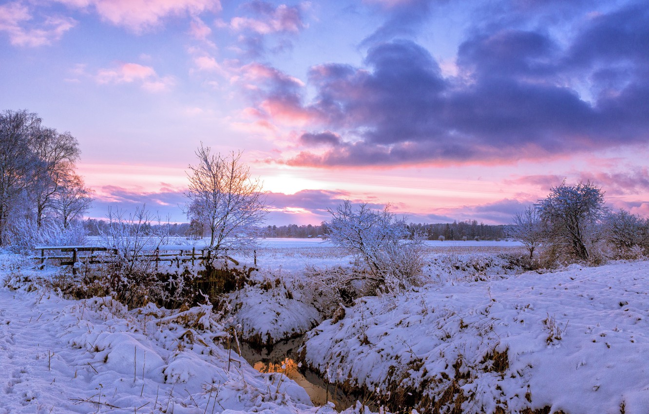 Wallpaper winter, field, snow, trees, bridge, dawn, morning, village, river image for desktop, section пейзажи