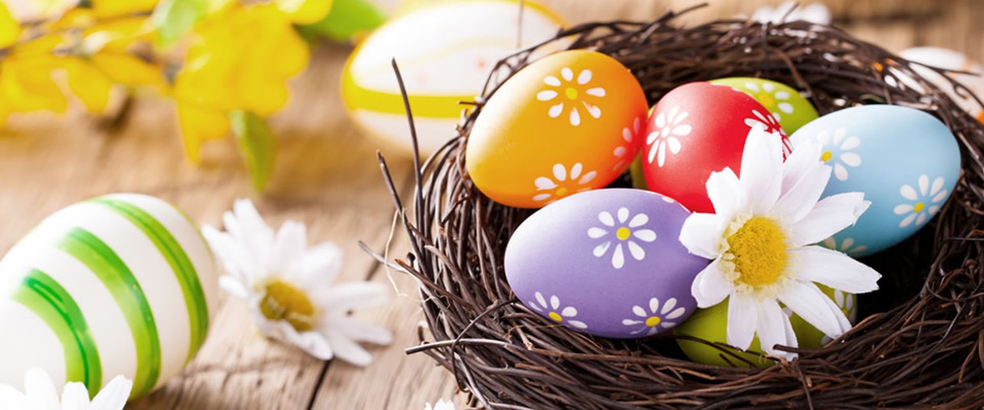 Bird basket full with Easter colourful eggs