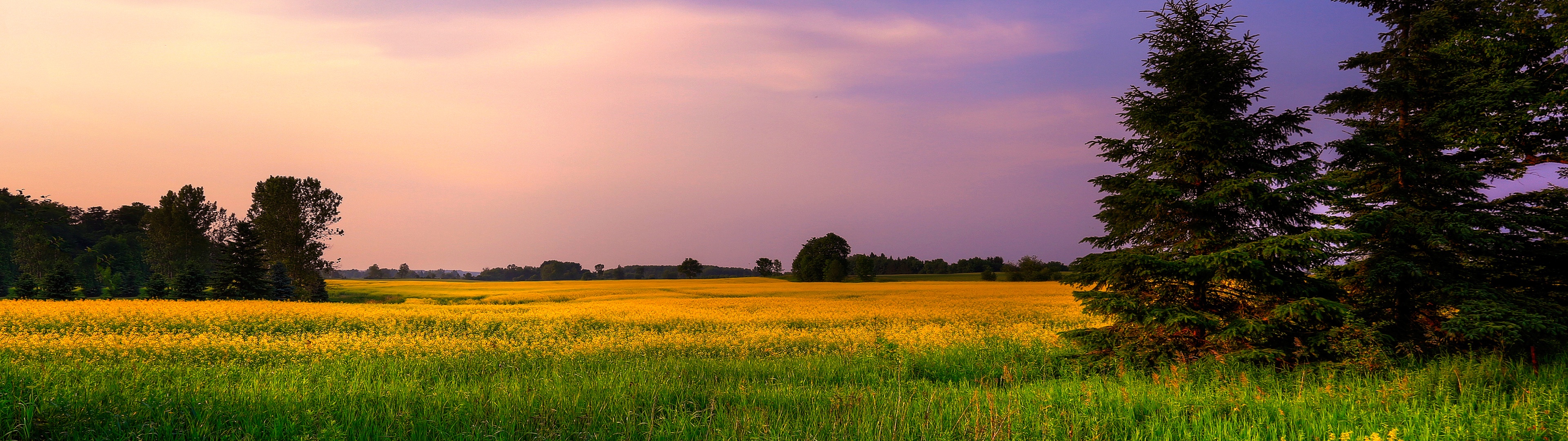 Spring Land Wallpapers Wallpaper Cave