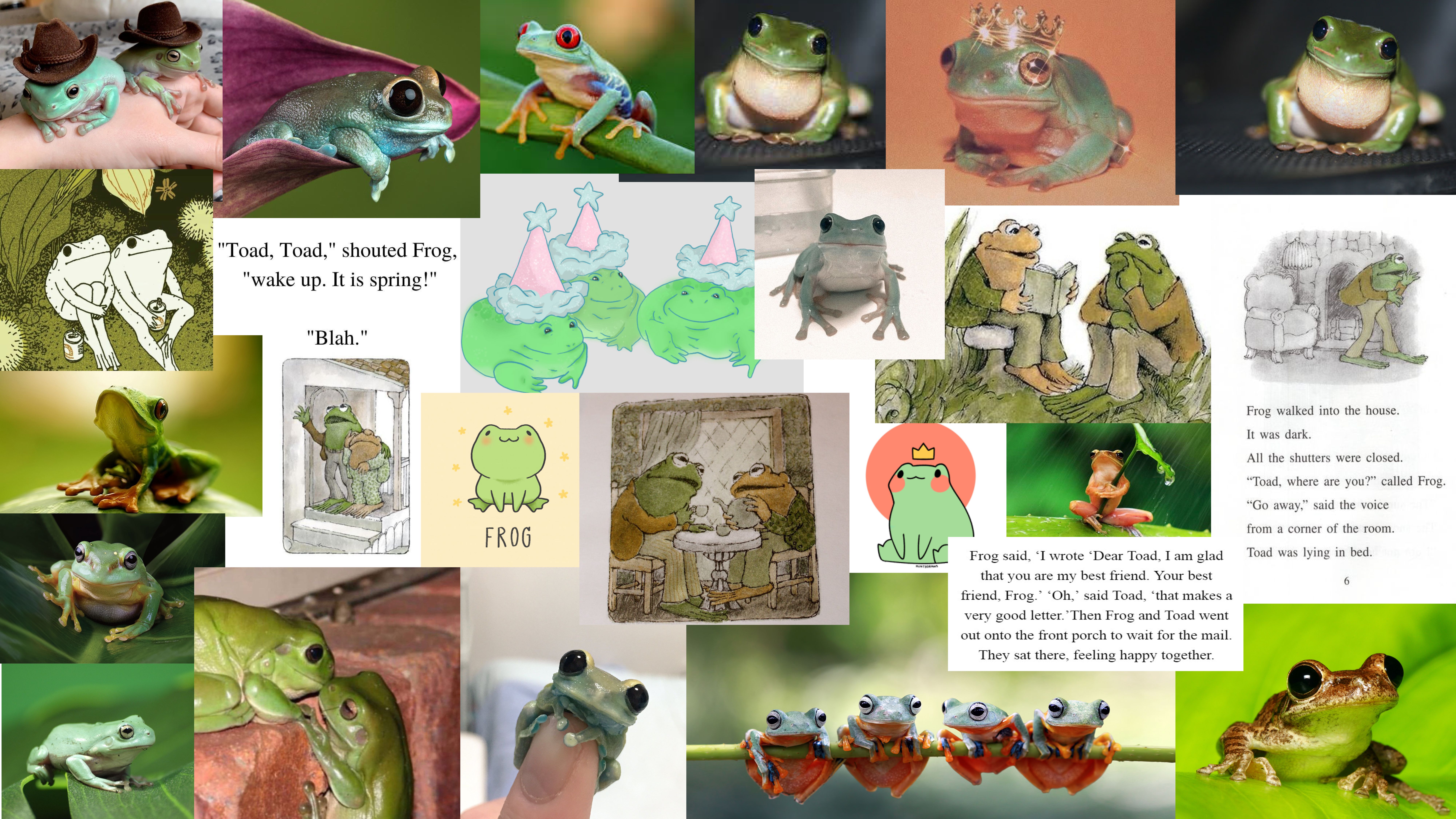 frog aesthetic collage. Aesthetic collage, Aesthetic, Collage