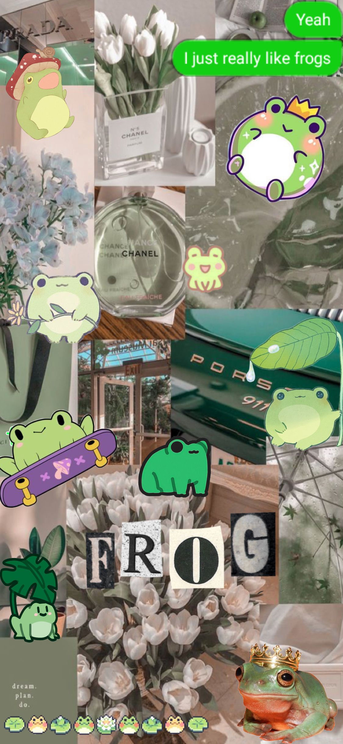 Frog wallpaper. Fond d'écran coloré, Fond d'ecran pastel, Fond d'écran téléphone