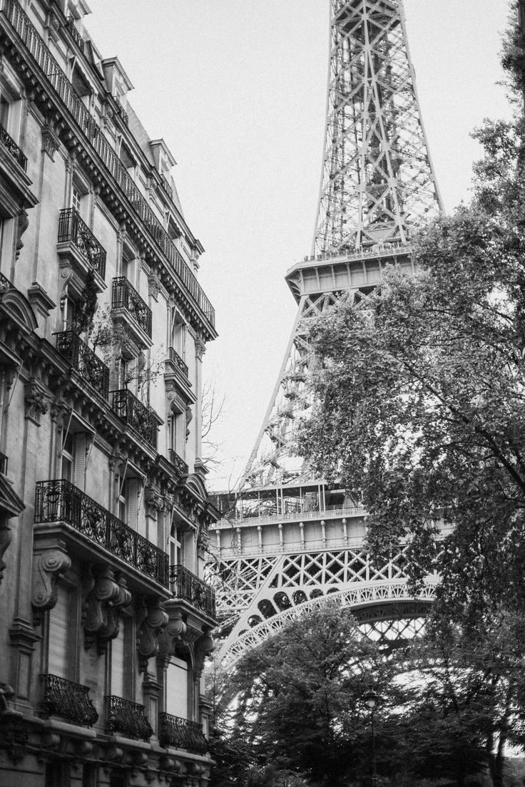 Stunning Black and White iPhone Wallpaper Background For Free. Ideias de paisagismo, Lightroom, Ponto turístico