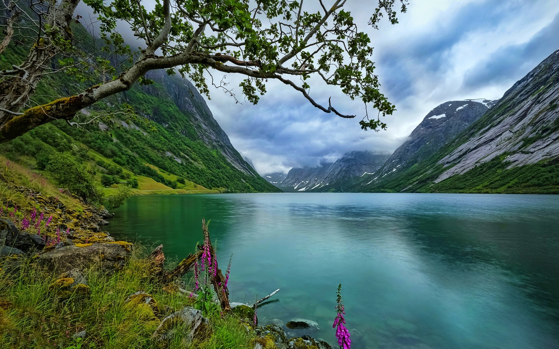 Wallpaper, trees, landscape, mountains, lake, nature, reflection, grass, clouds, Norway, river, summer, fjord, wildflowers, wilderness, Alps, reservoir, highland, loch, mountainous landforms, landform, body of water, mountain range 1920x1200