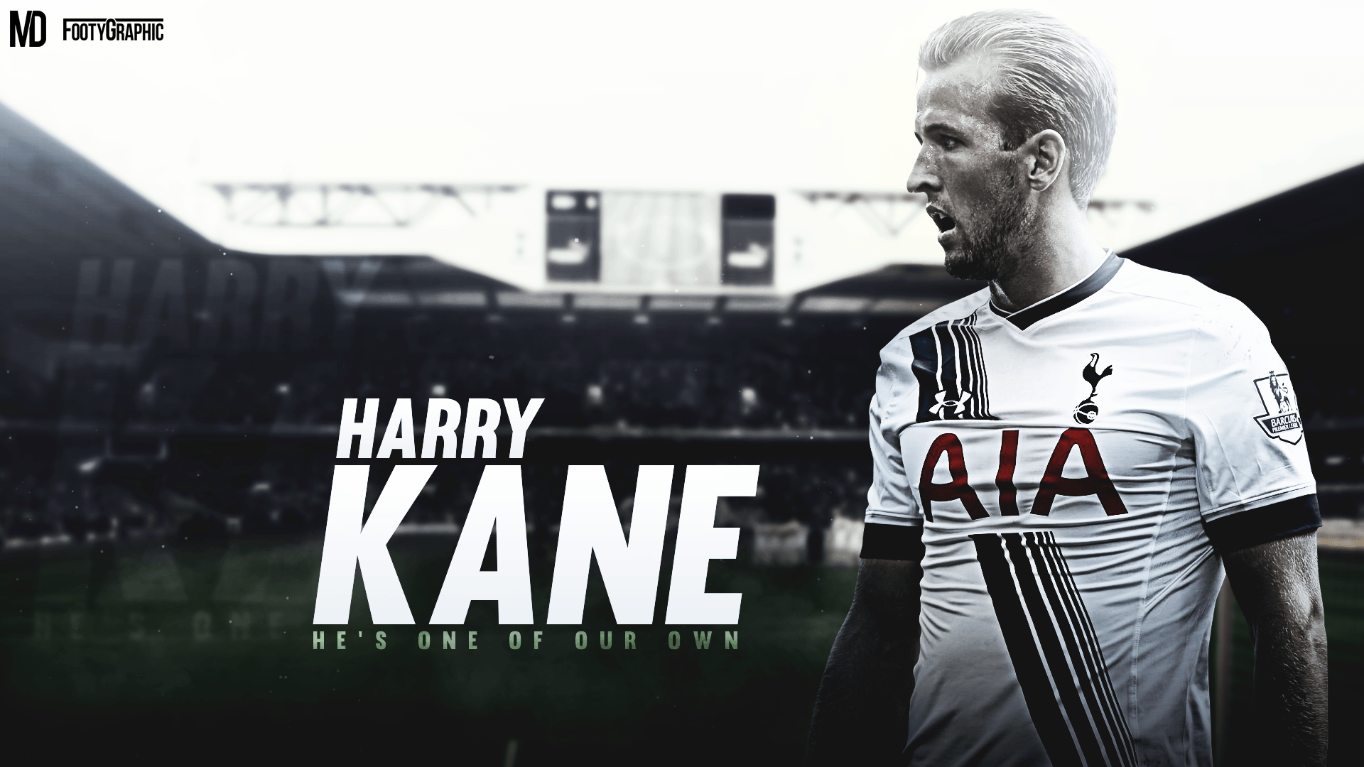 Harry Kane Tottenham Wallpaper HD