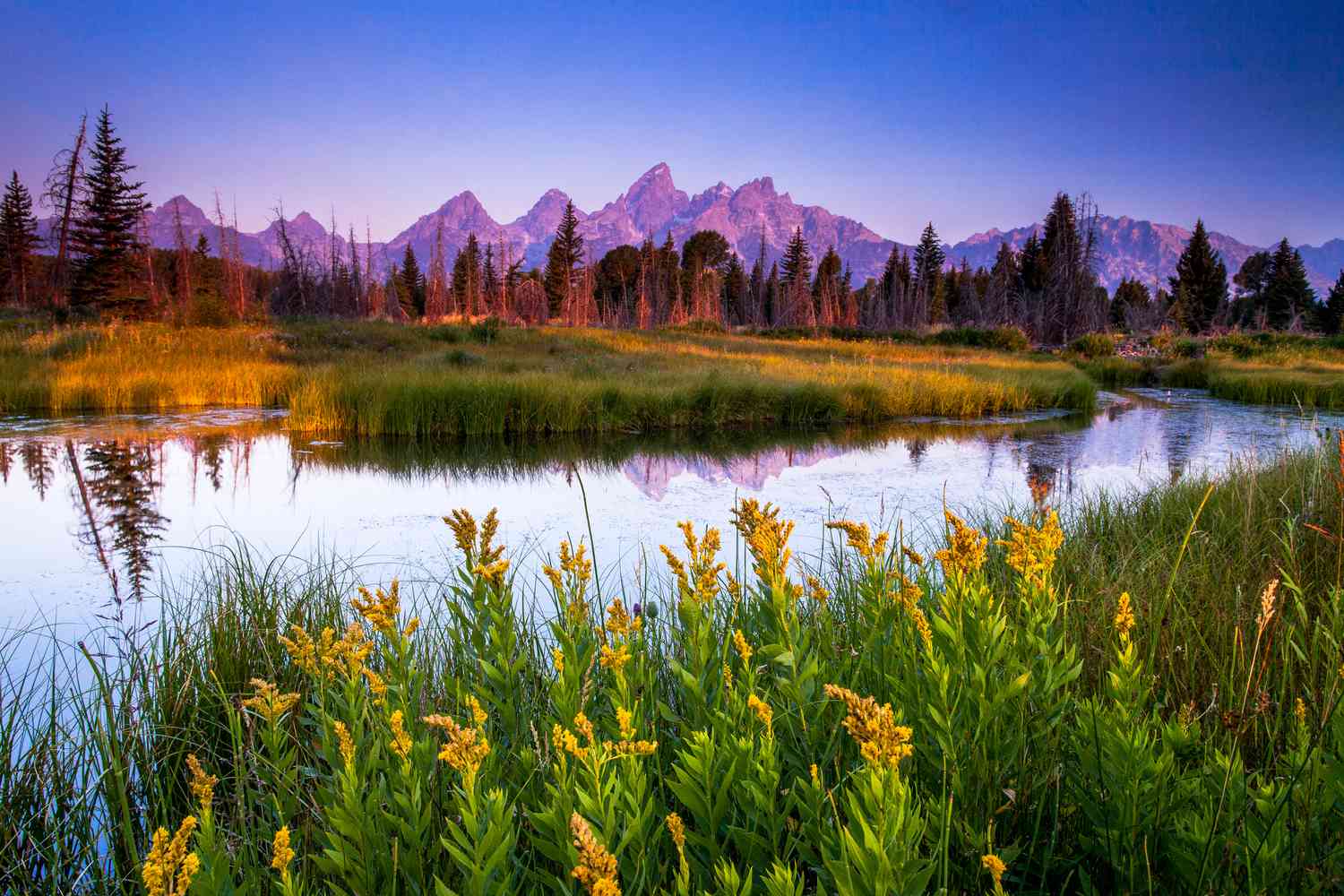 The Best National Parks to Visit During Summer