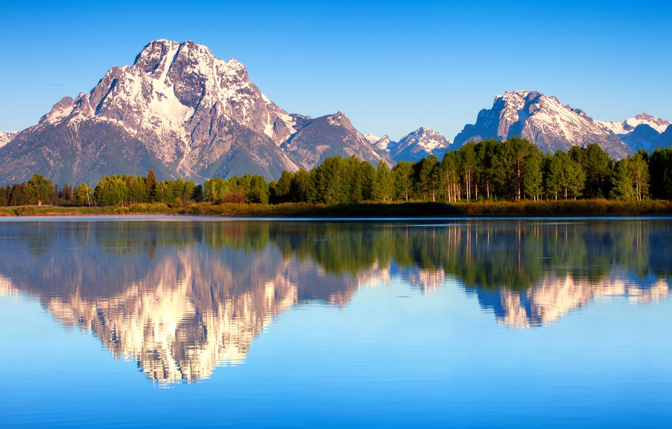 Wallpaper forest, summer, reflection, nature, morning, USA, Wyoming, Grand Teton national Park, Mount Moran, lake Jackson image for desktop, section пейзажи