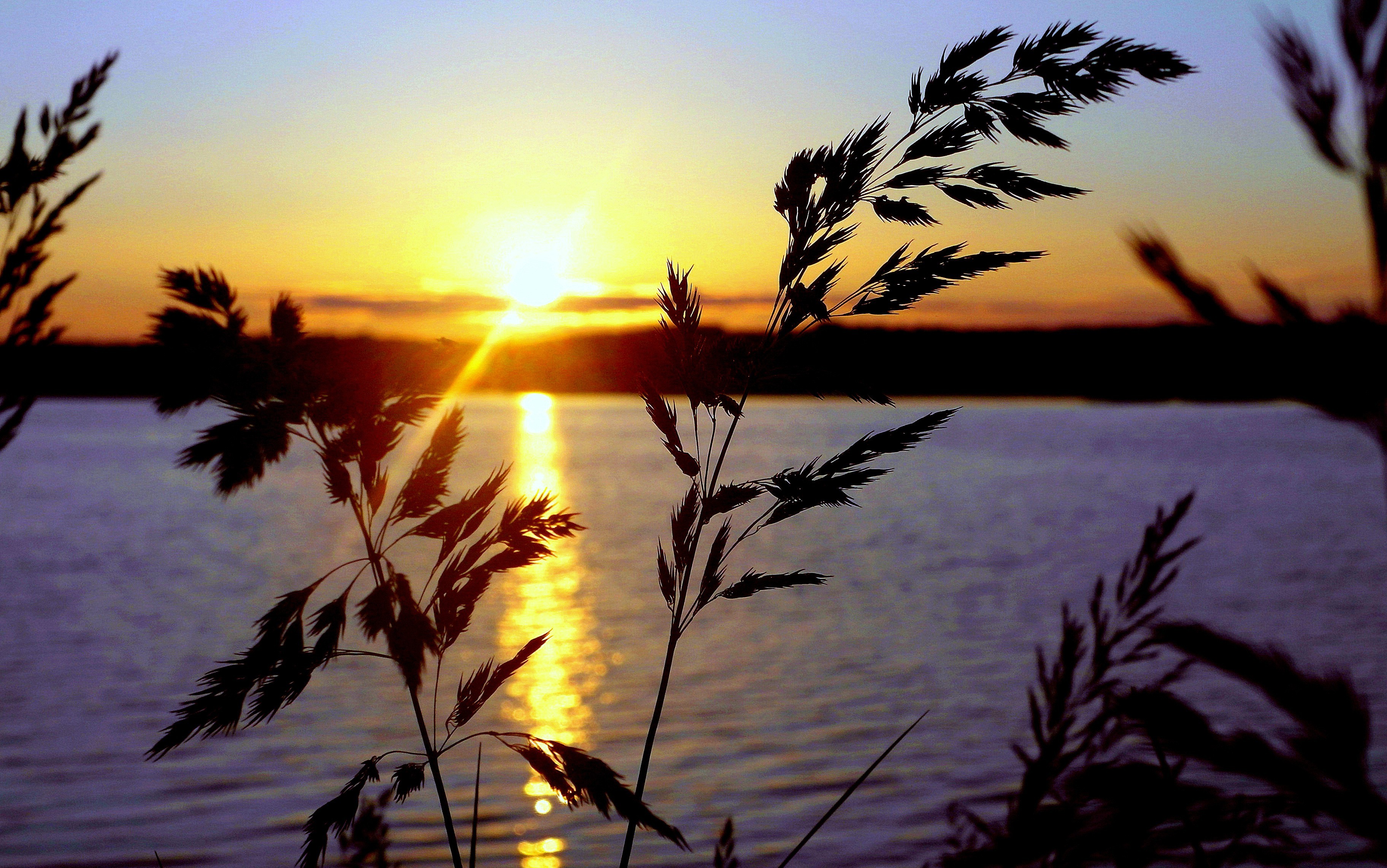 summer, Sunset, Sun, Water, Plants, Yellow, Orange, Blue, Black, Nature, June, Clouds, Silhouette Wallpaper HD / Desktop and Mobile Background