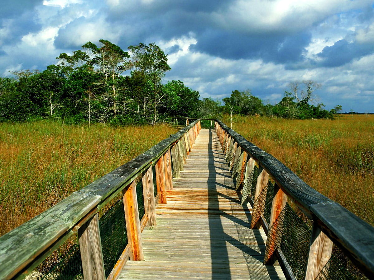 Summer wallpaper HD. Download Free background