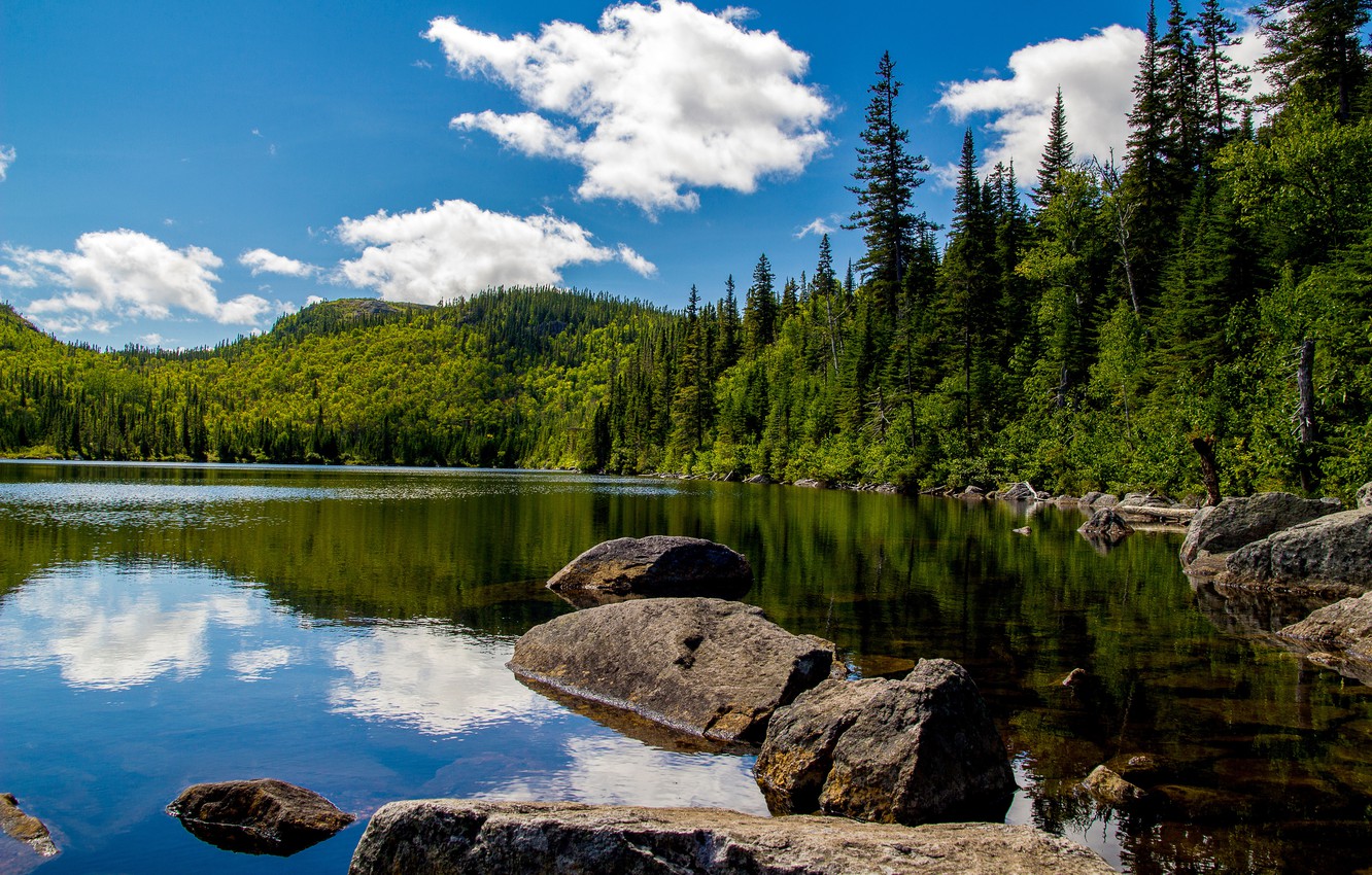 Wallpaper greens, forest, summer, the sky, clouds, trees, lake, stones, Canada, Sunny, Grands Jardins national park image for desktop, section пейзажи