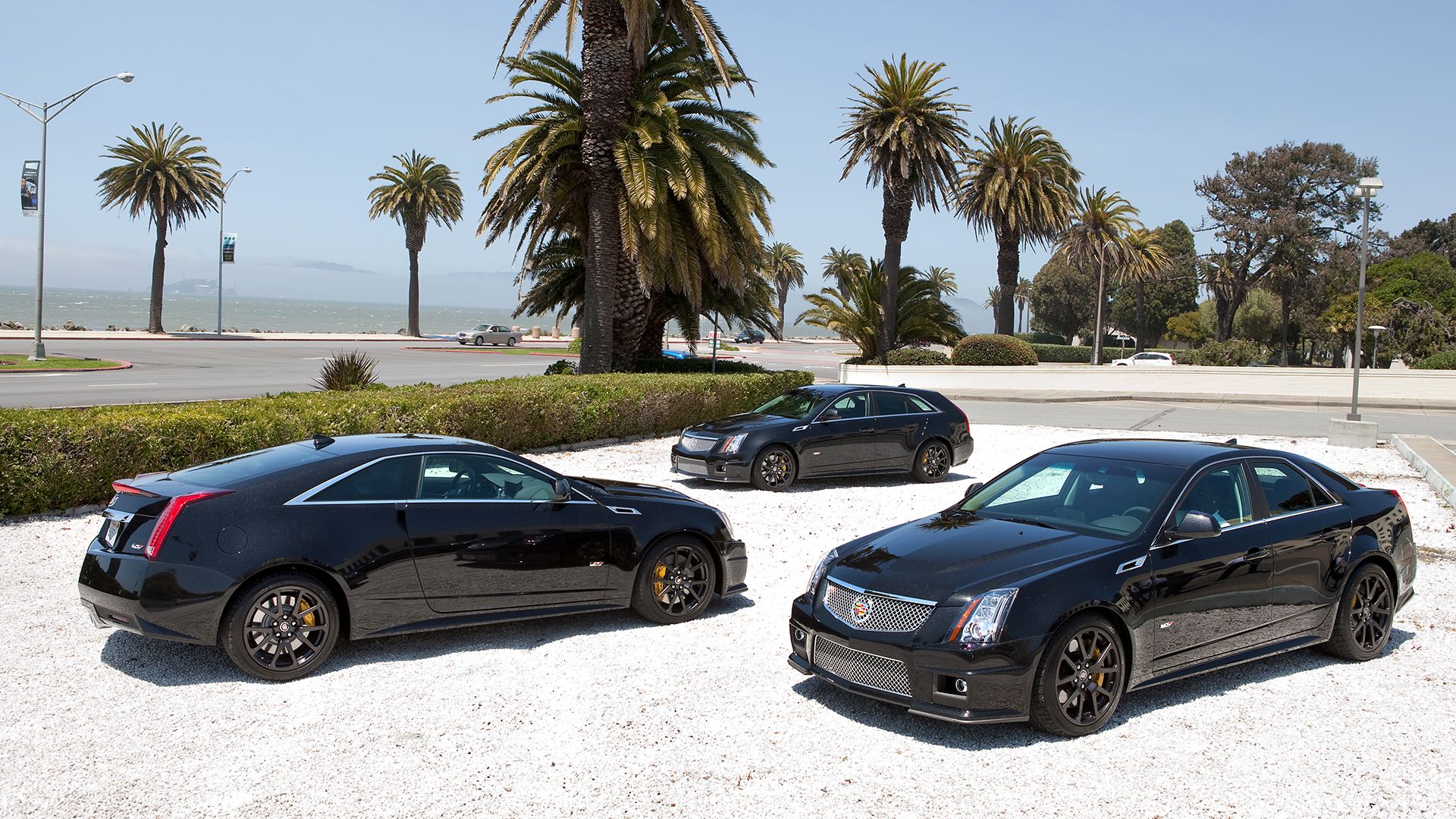 Cadillac V Series Performance Cars