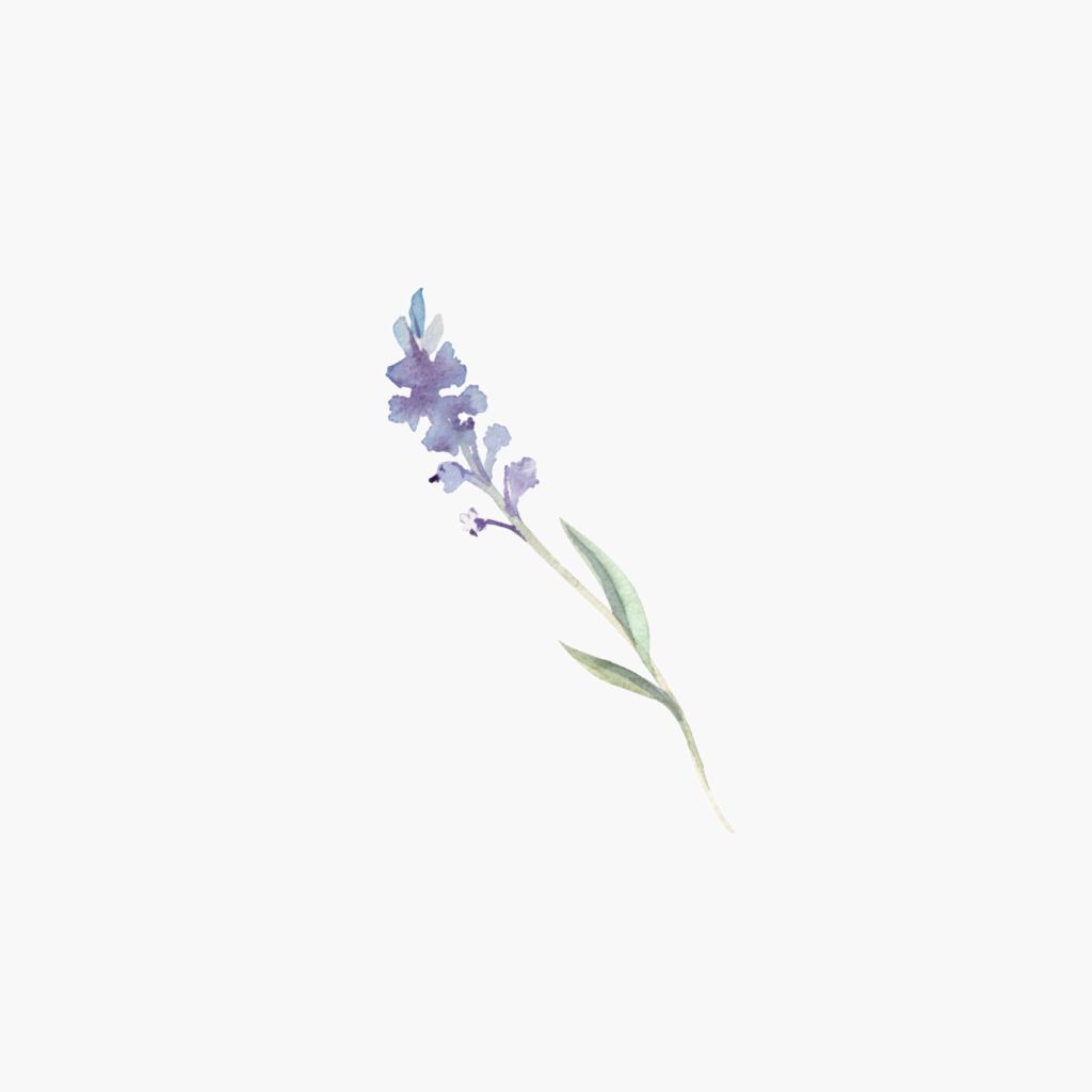 Minimalist Purple Flowers Wallpaper Free Minimalist Purple Flowers Background