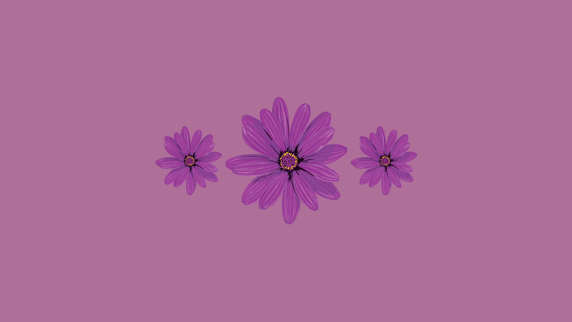 Download Minimalist Cute Purple Aesthetic Flowers Wallpaper