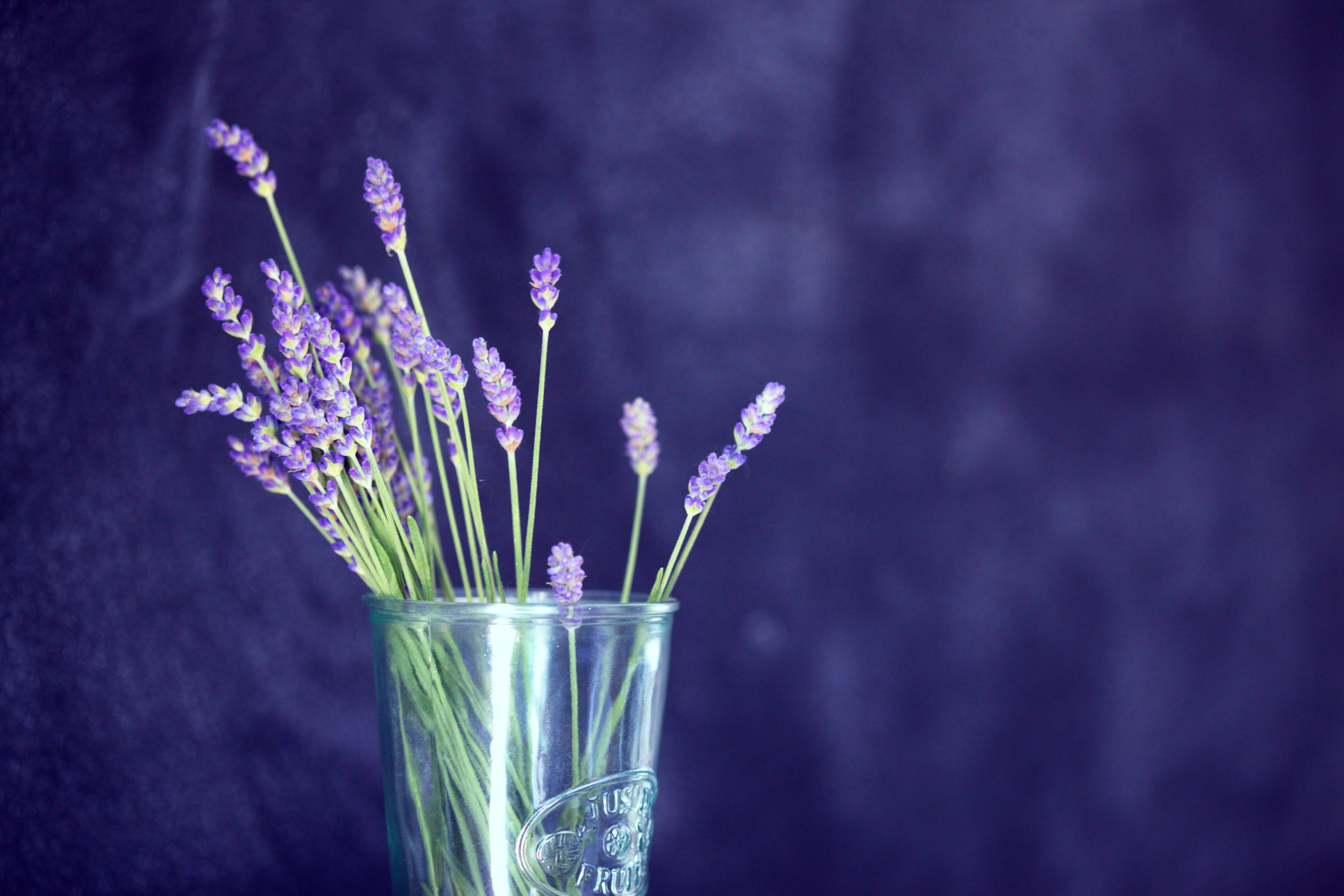 5616x3744 holistic, nature wallpaper, floral, relax, flower, purple, minimal, lavender, decor, vase, glass, healthy, herb, purple wallpaper, calm, green, background, organic, floral wallpaper, Public domain image Gallery HD Wallpaper