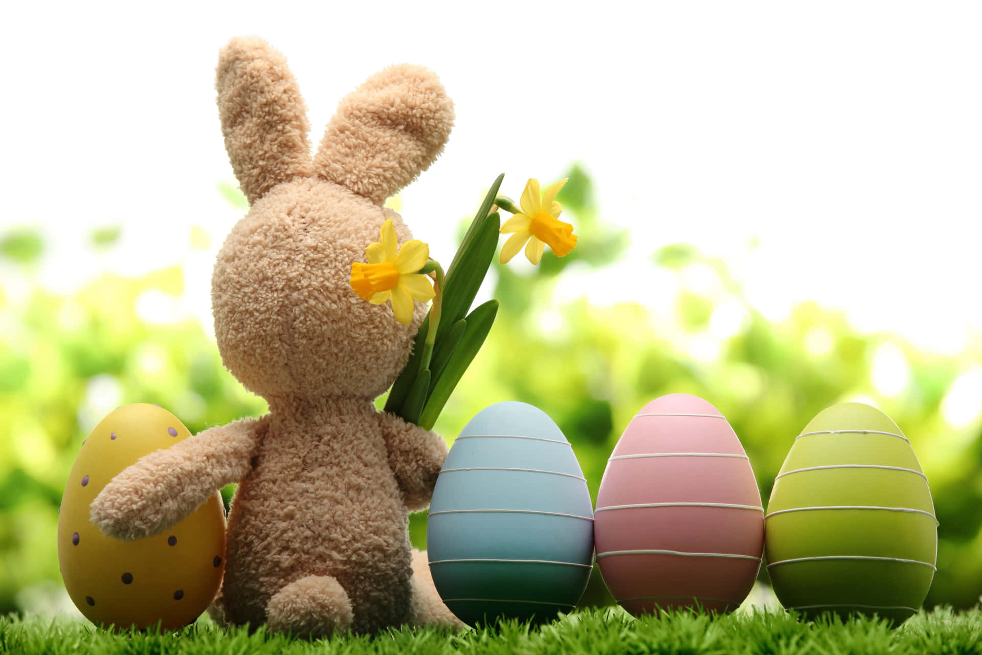 Download Funny Easter Bunny And Pastel Eggs Picture