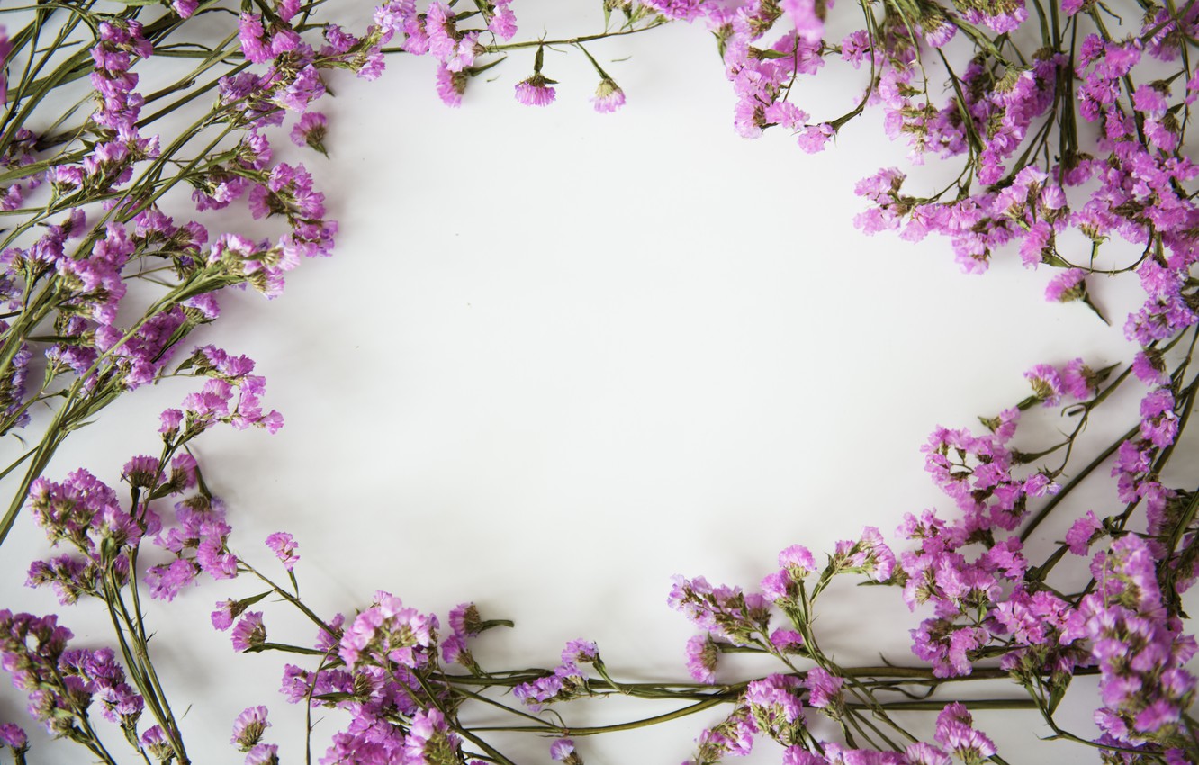Wallpaper flowers, background, frame, flowers, purple, violet, frame image for desktop, section цветы