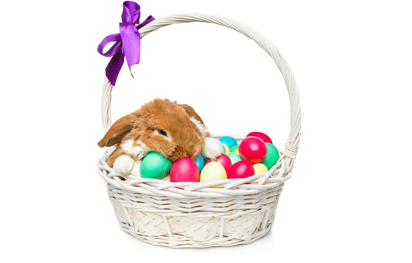 Wallpaper basket, rabbit, Easter, happy, rabbit, spring, Easter, eggs, bunny, decoration, the painted eggs image for desktop, section праздники
