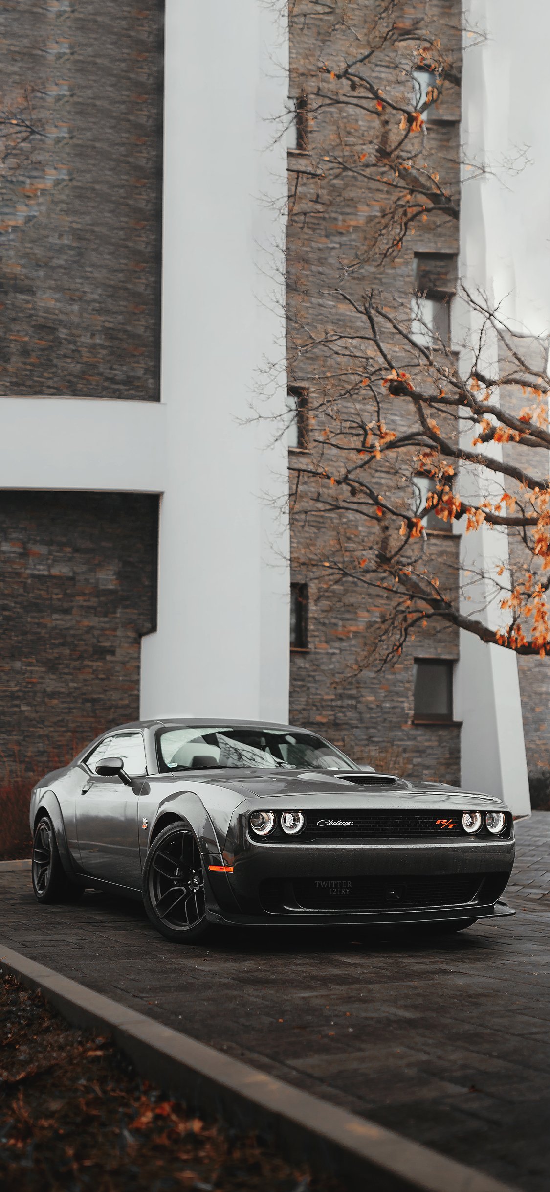 Tadic. #Wallpaper └