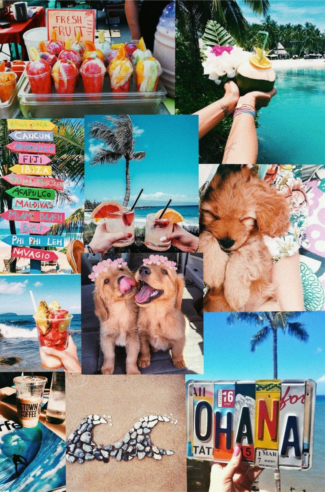 Download Puppies Summer Vibes Wallpaper