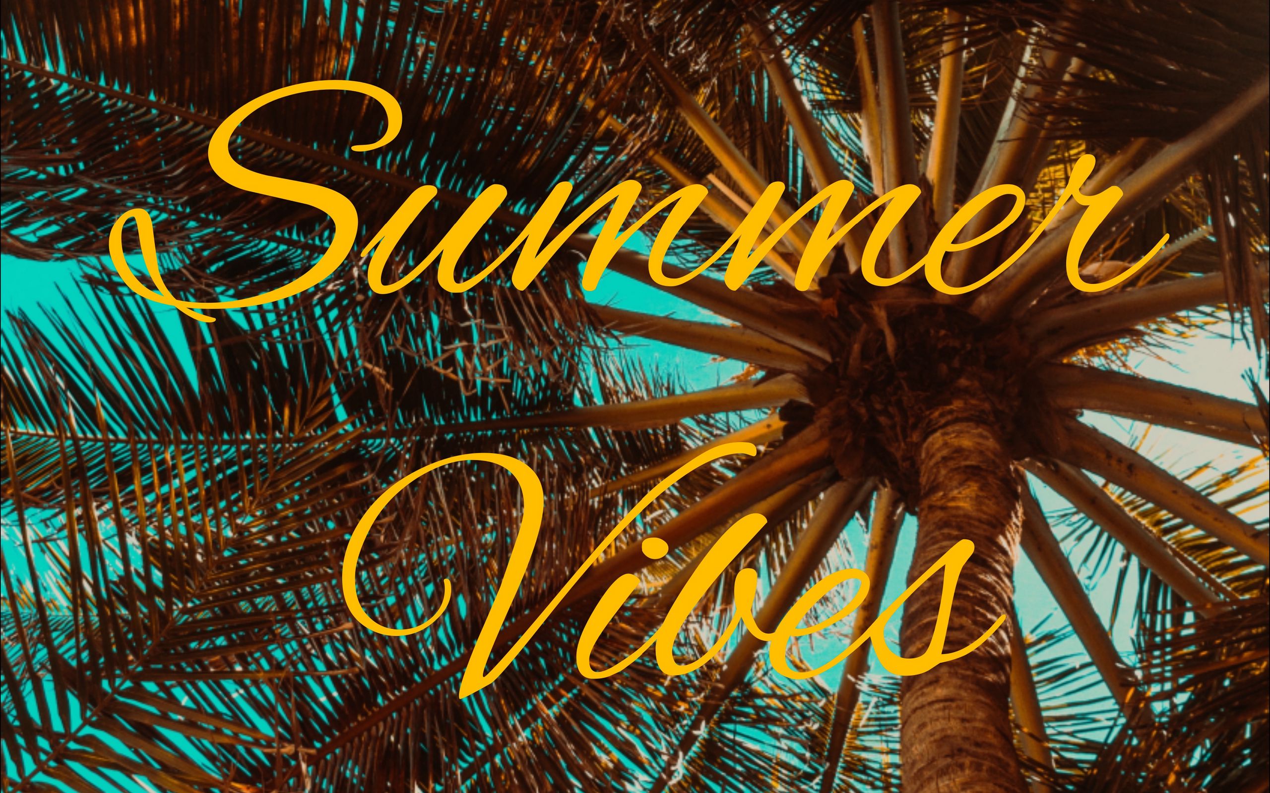 Download wallpaper 2560x1600 summer, vibes, palm, mood widescreen 16:10 HD background