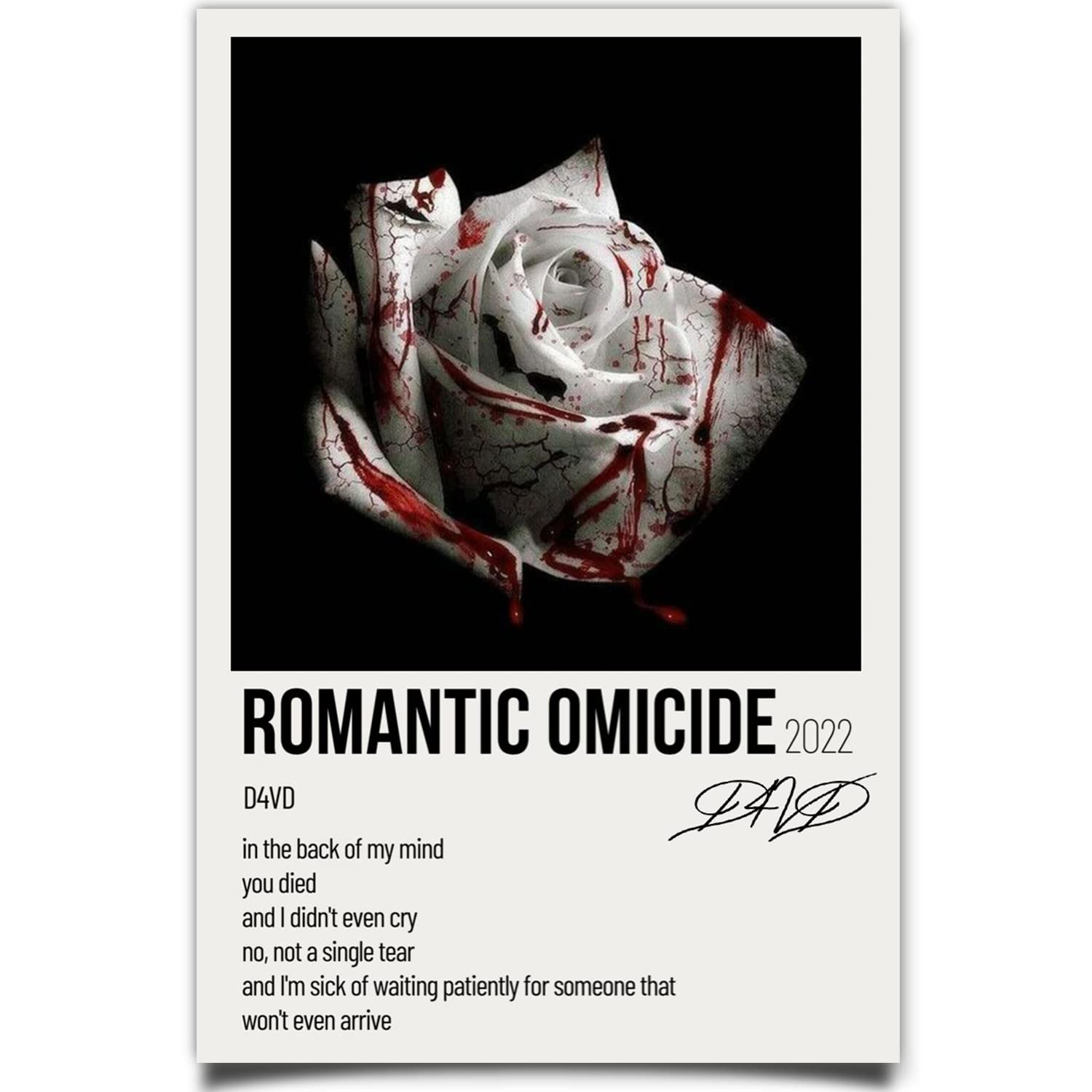 R Timer D4vd Poster Romantic Homicide Music Poster Album Cover Poster Decorations Paintings Retro Poster Canvas Wall Art For Living Room Bedroom Gift Unframed (12x18inch(30x45cm)): Posters & Prints