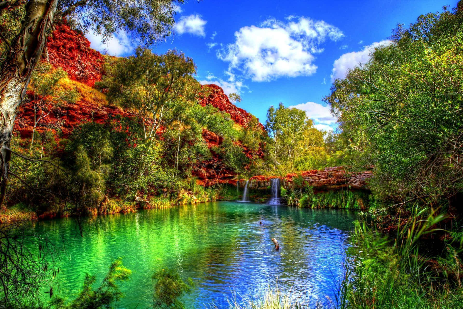 Download Scenic Desktop Hidden Lake In Forest Wallpaper